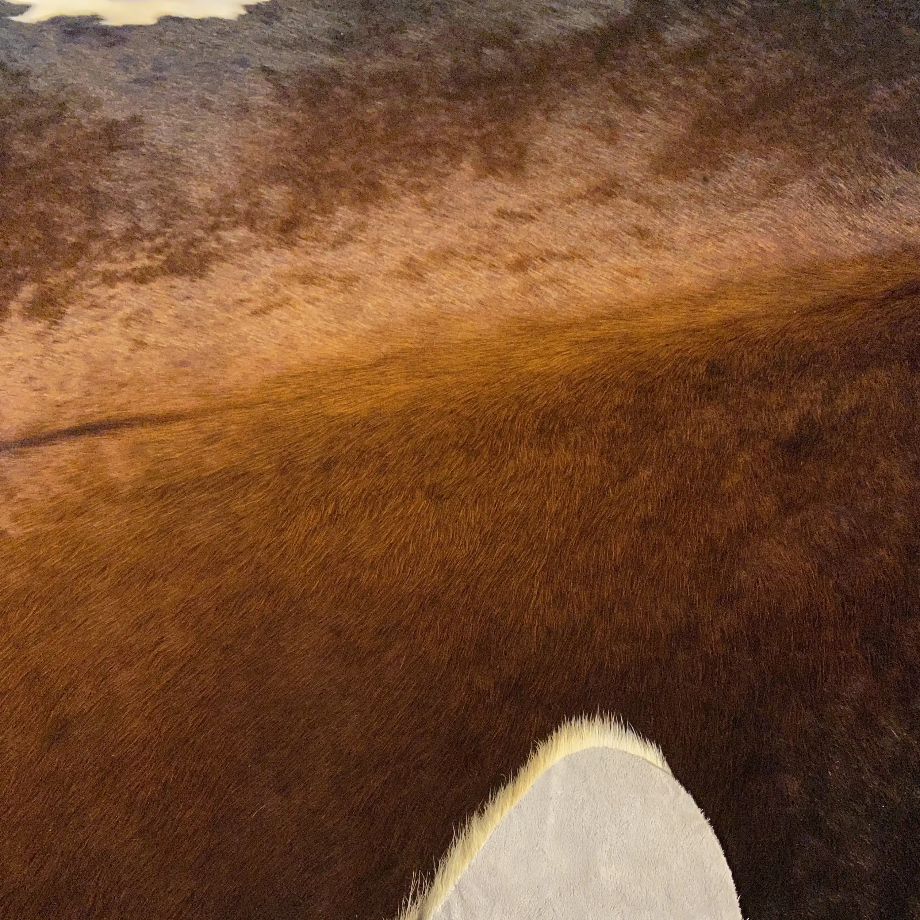 HAKİKİ DERİ DANA POSTU MIX KAHVE 190 x 220 - 1001000118