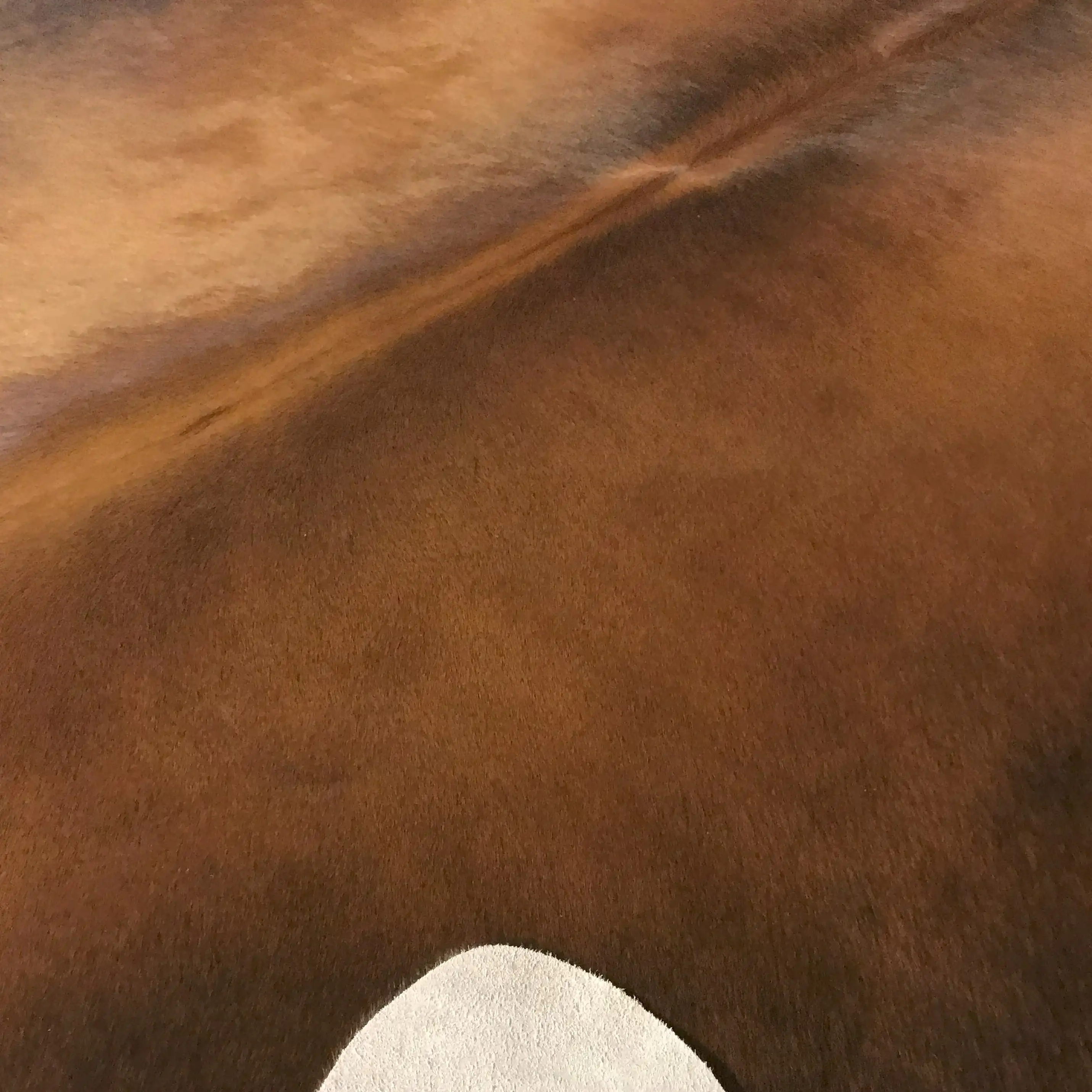 HAKİKİ DERİ DANA POSTU MIX KAHVE 195 x 235 - 1001000196