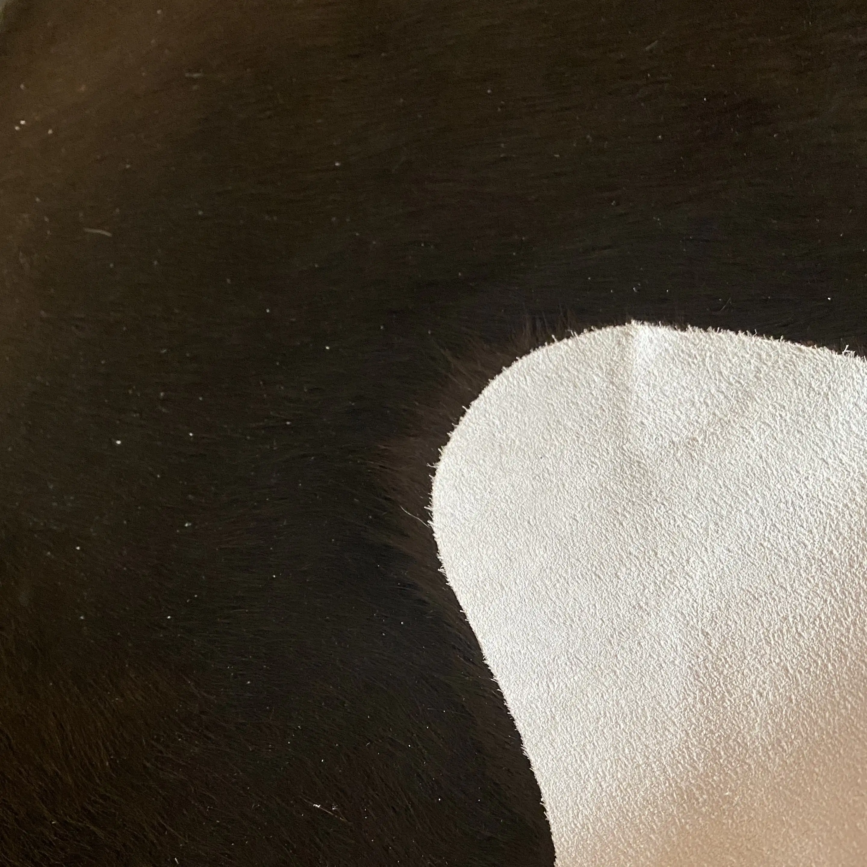 HAKİKİ DERİ DANA POSTU SİYAH 170 x 180 - 0101000018