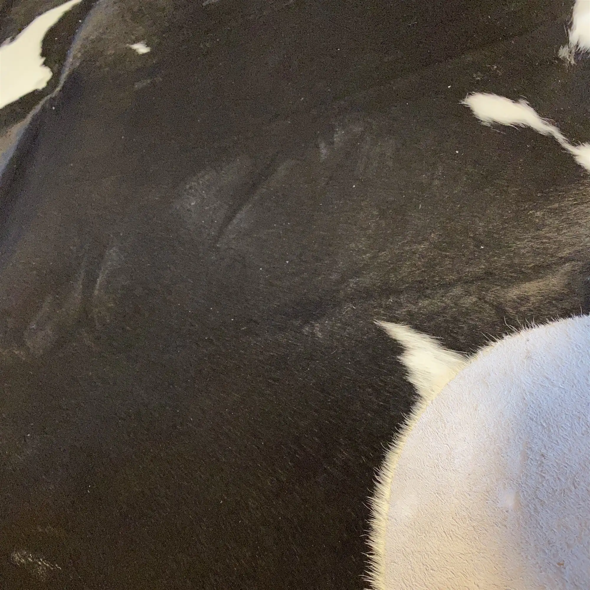 HAKİKİ DERİ DANA POSTU SİYAH - BEYAZ 210 x 235 - 0701000164