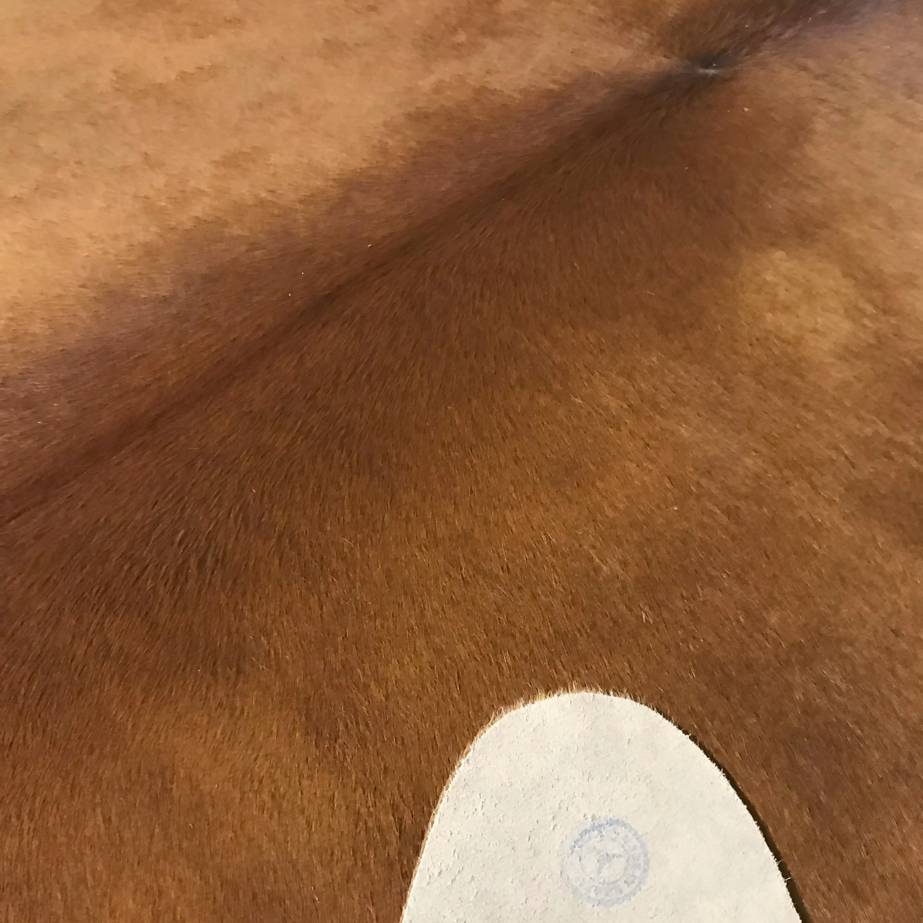 HAKİKİ DERİ DANA POSTU 3m2 ALTI 175 x 185 - 1501000017