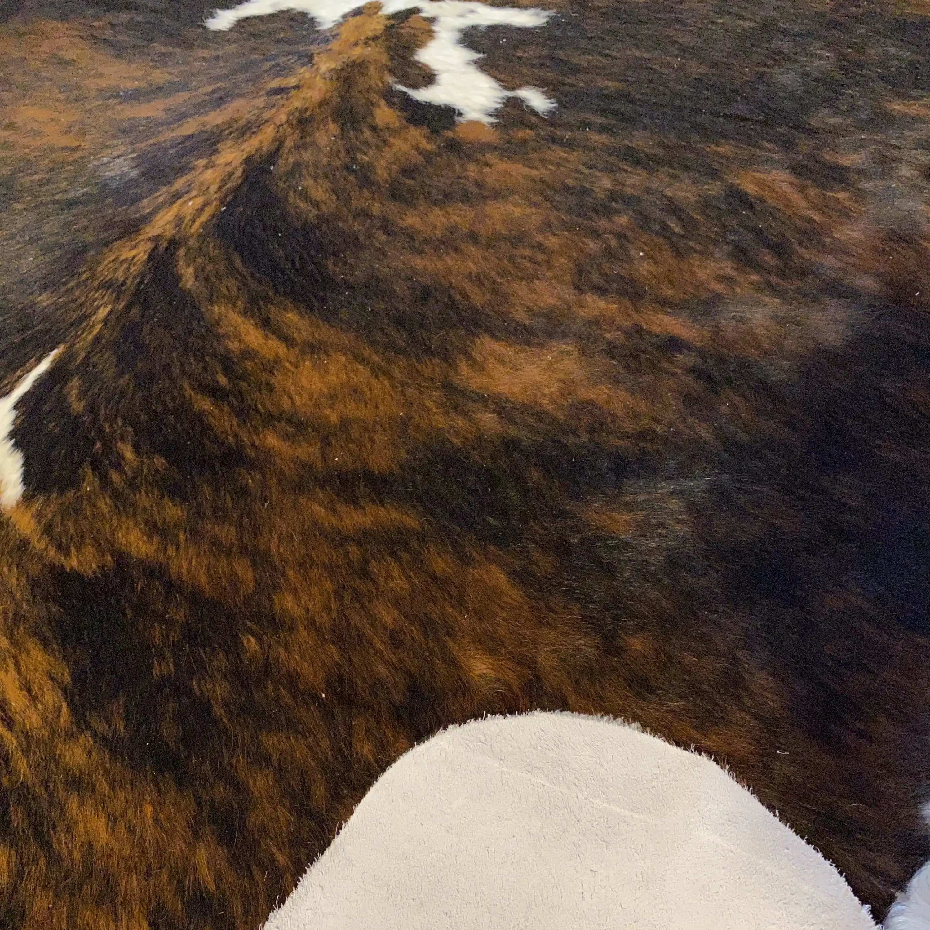 HAKİKİ DERİ DANA POSTU EGZOTİK 170 x 200 - 0401000327