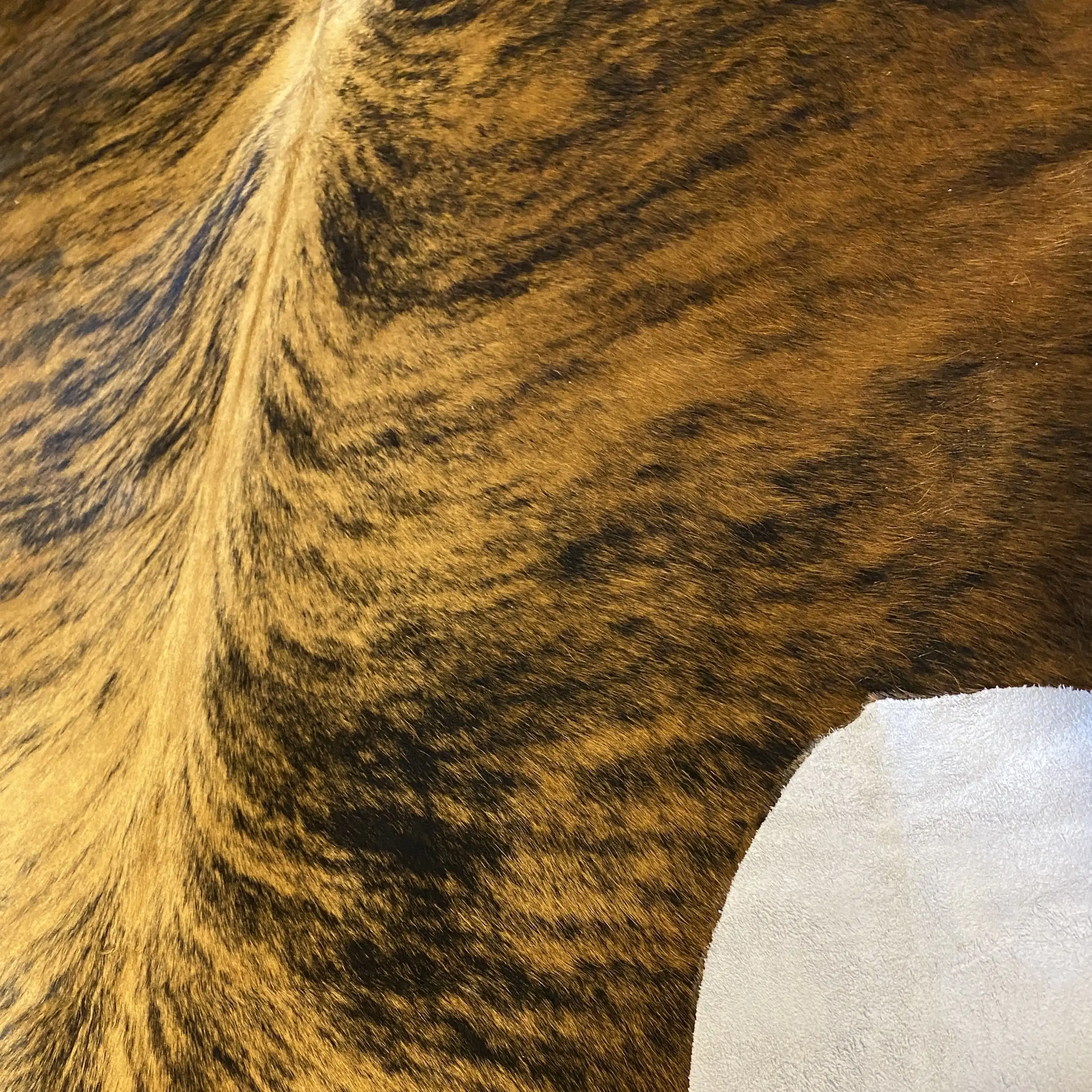 HAKİKİ DERİ DANA POSTU EGZOTİK 170 x 210 - 0401000180