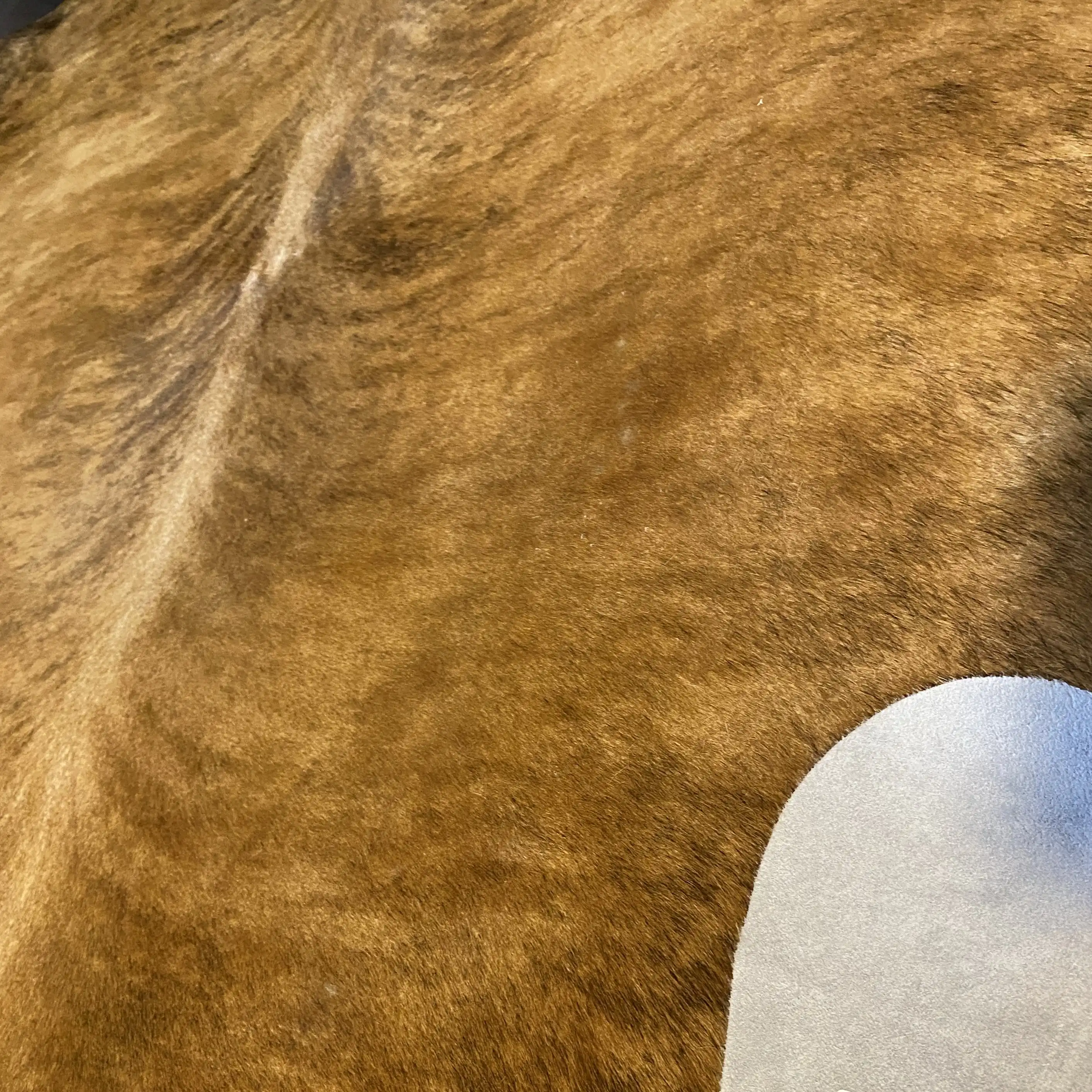 HAKİKİ DERİ DANA POSTU EGZOTİK 170 x 225 - 0401000202