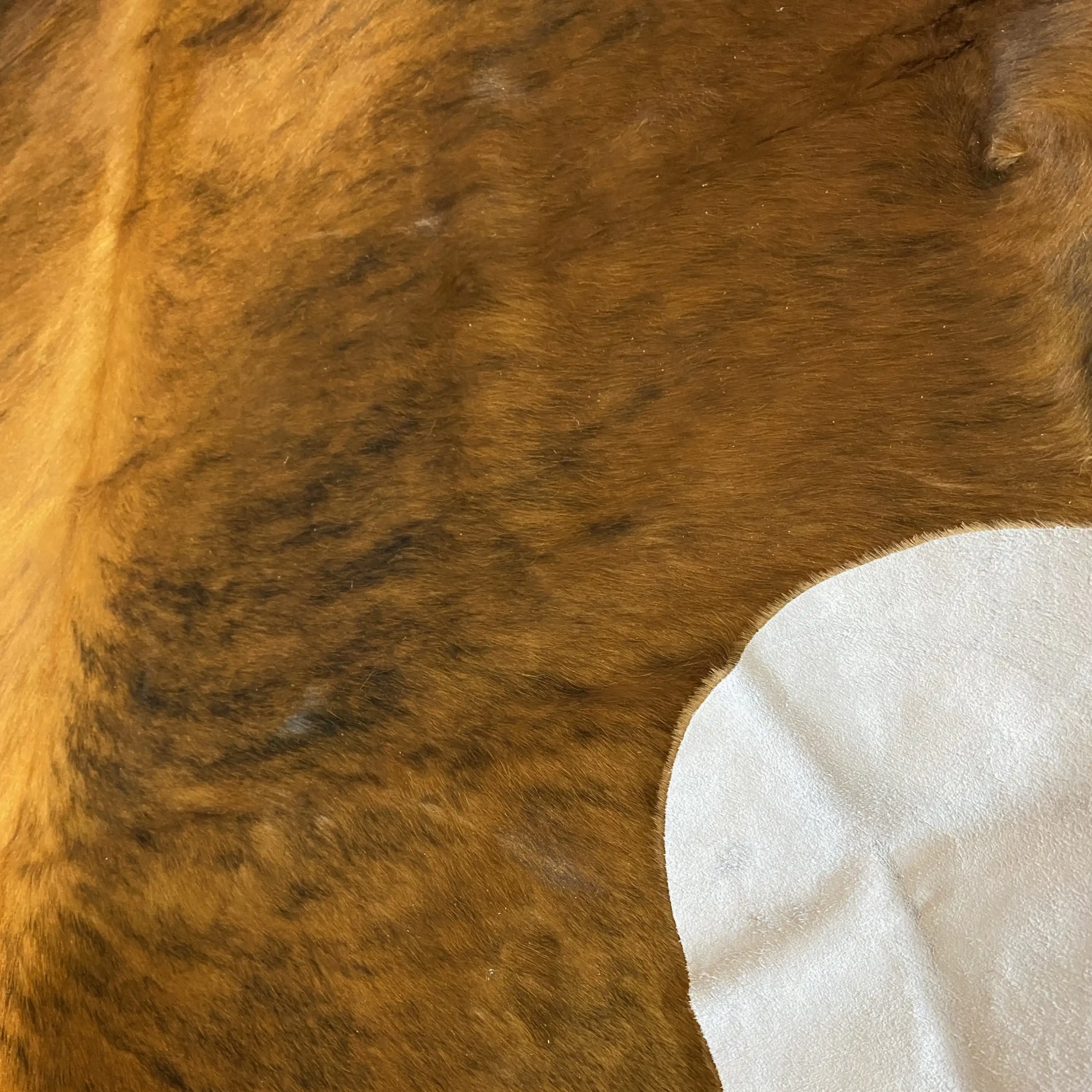 HAKİKİ DERİ DANA POSTU EGZOTİK 180 x 195 - 0401000101