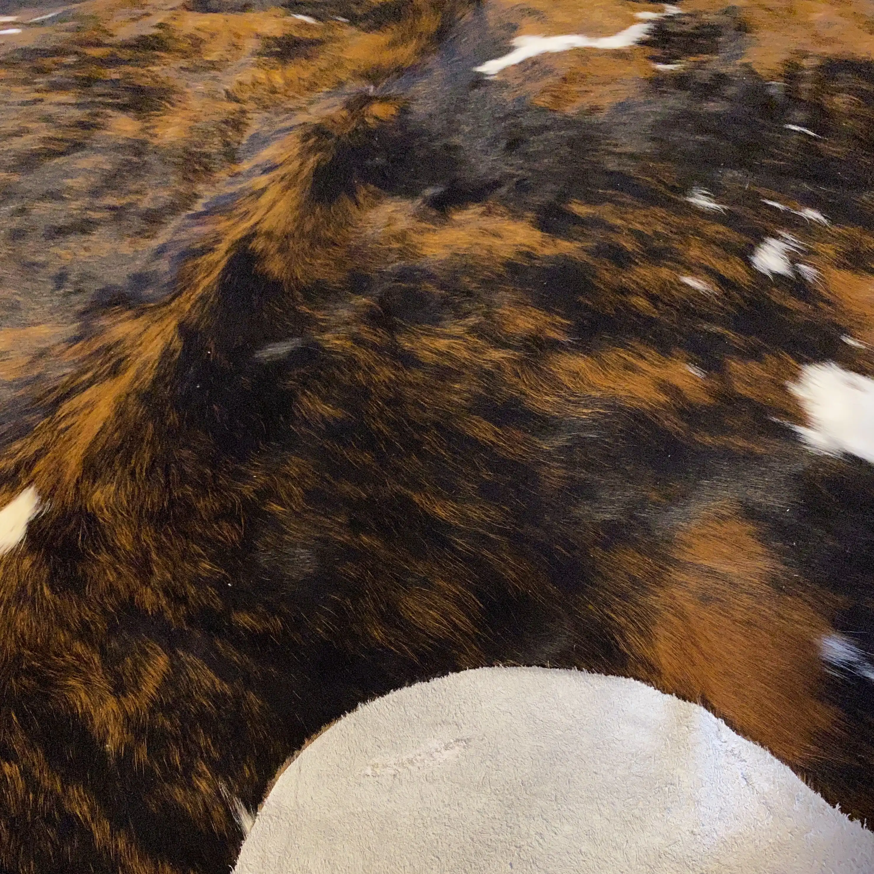 HAKİKİ DERİ DANA POSTU EGZOTİK 180 x 210 - 0401000319