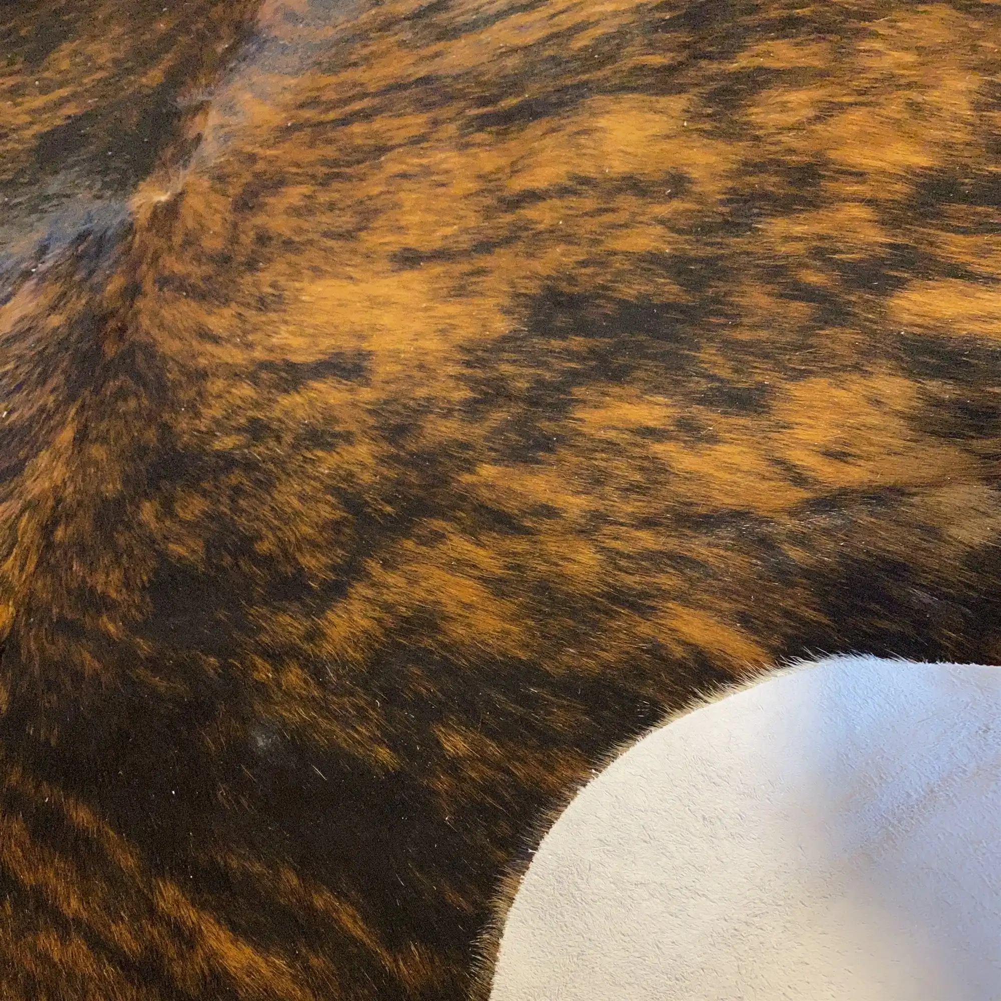 HAKİKİ DERİ DANA POSTU EGZOTİK 180 x 220 - 0401000171