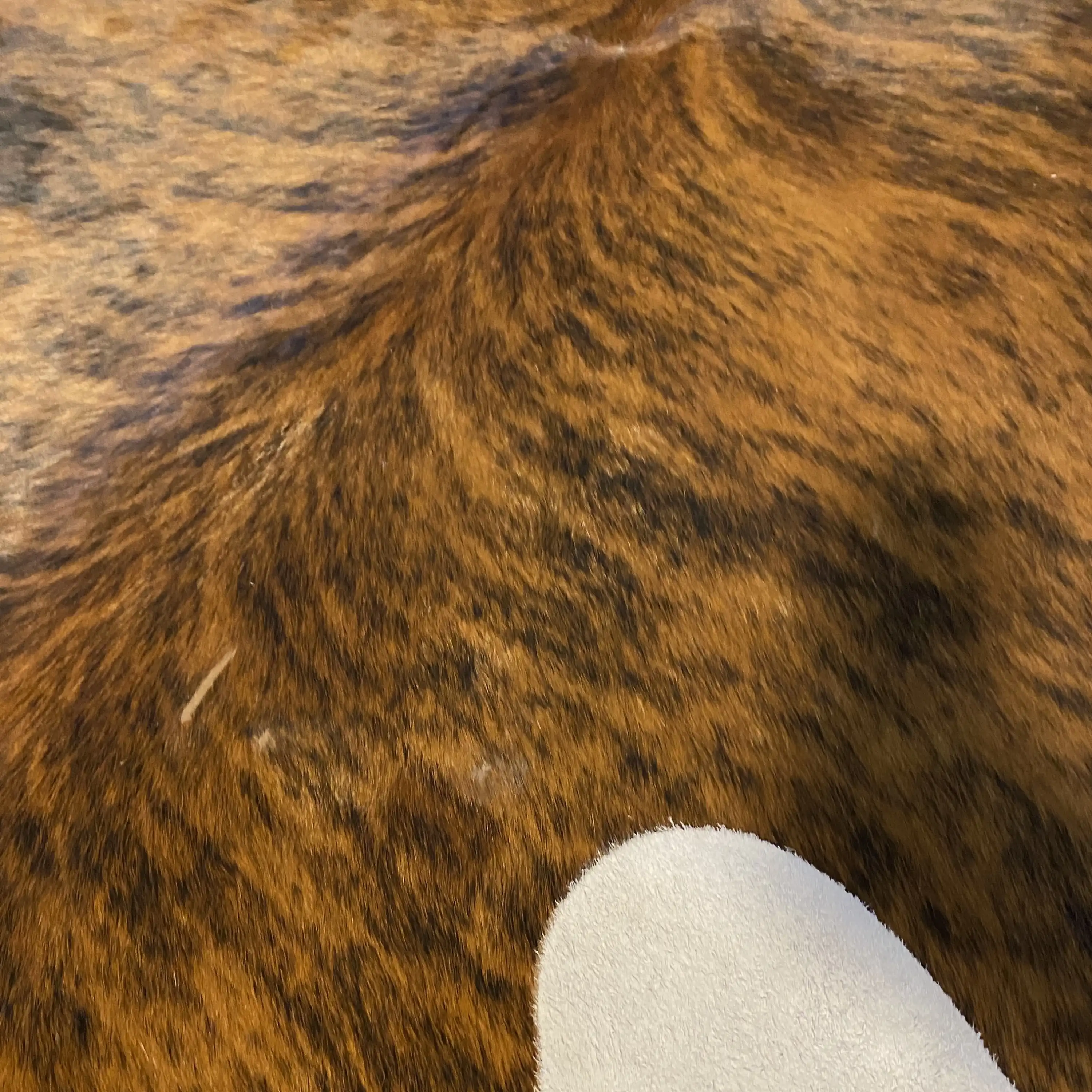 HAKİKİ DERİ DANA POSTU EGZOTİK 180 x 220 - 0401000243