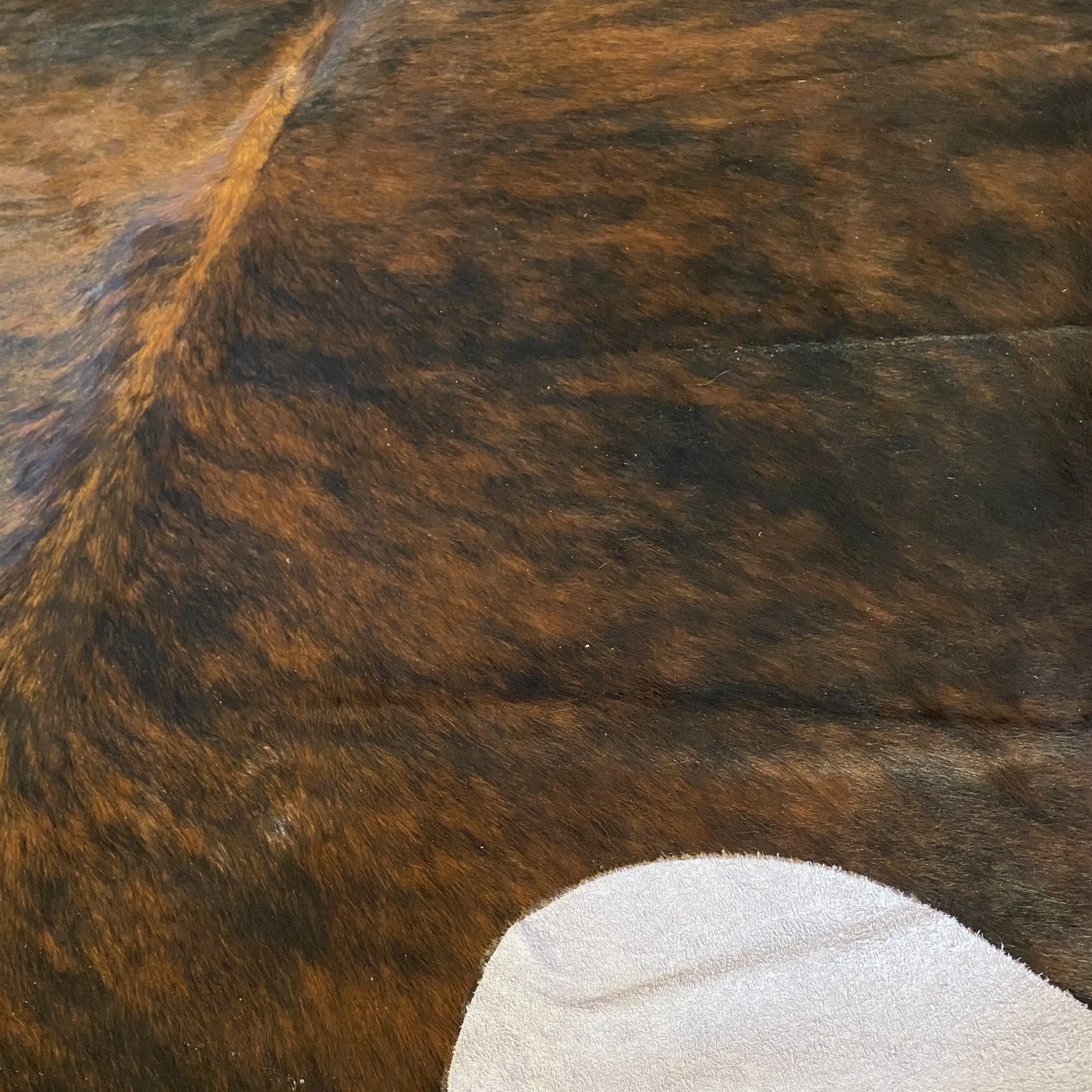 HAKİKİ DERİ DANA POSTU EGZOTİK 180 x 220 - 0401000283