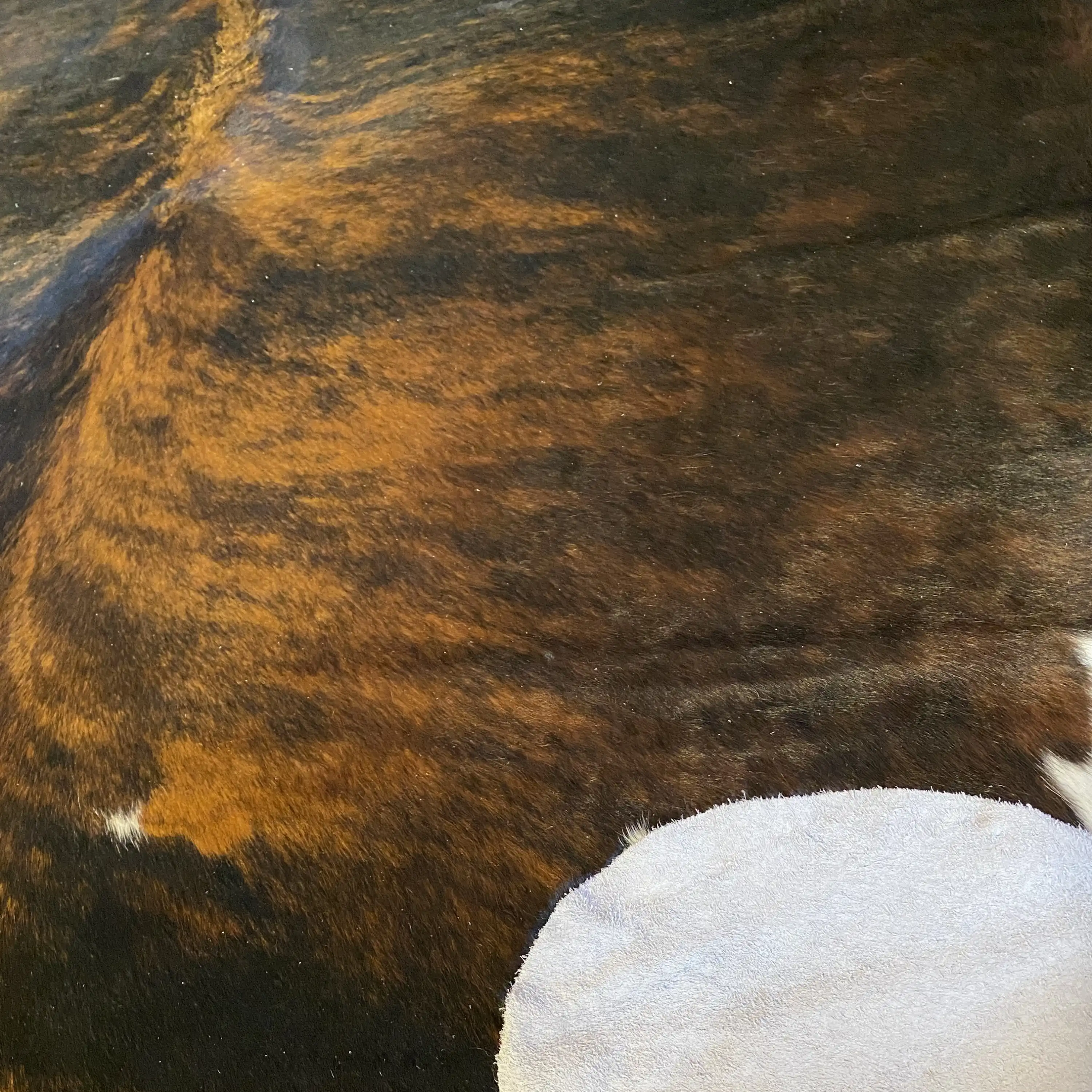 HAKİKİ DERİ DANA POSTU EGZOTİK 180 x 225 - 0401000291