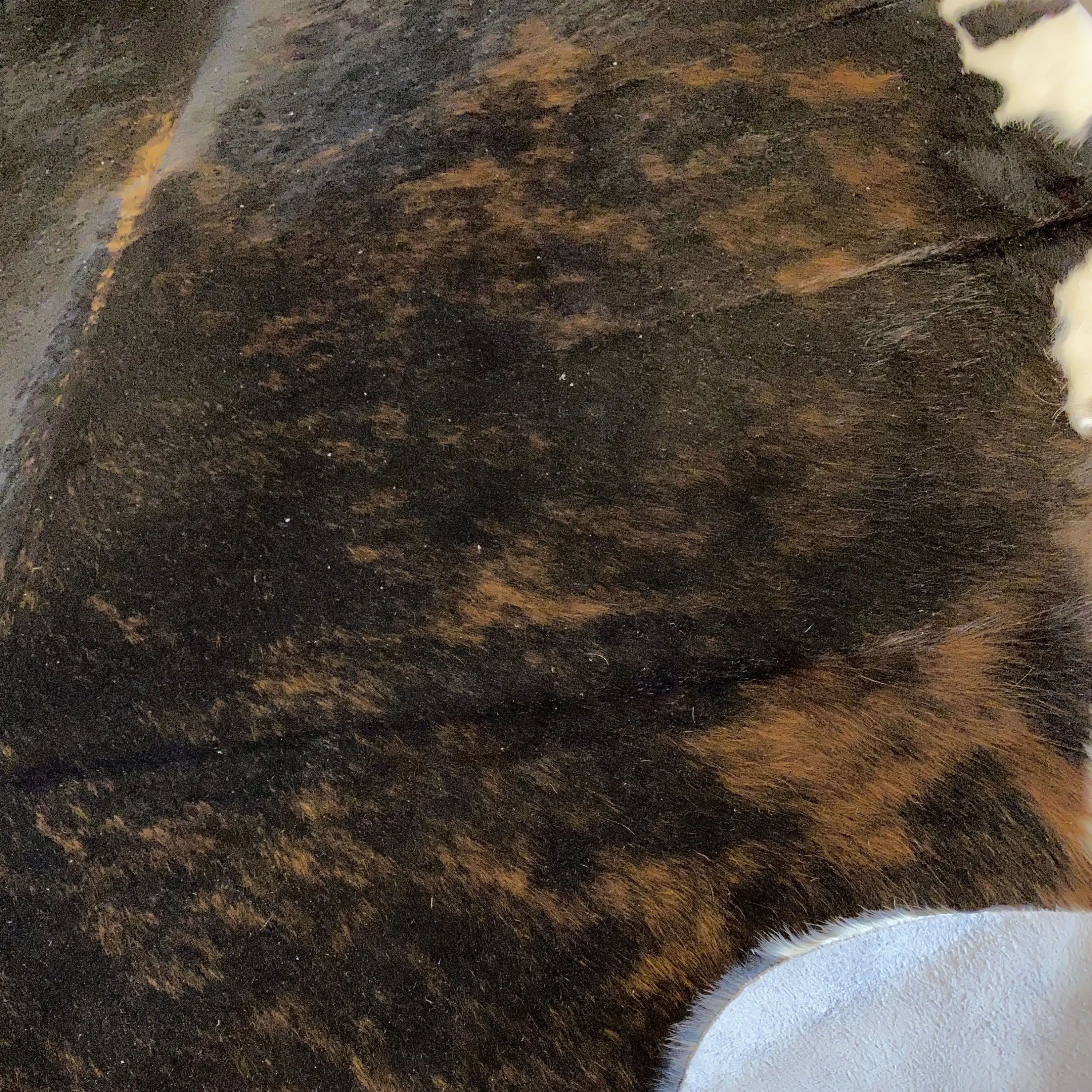 HAKİKİ DERİ DANA POSTU EGZOTİK 180 x 230 - 0401000050