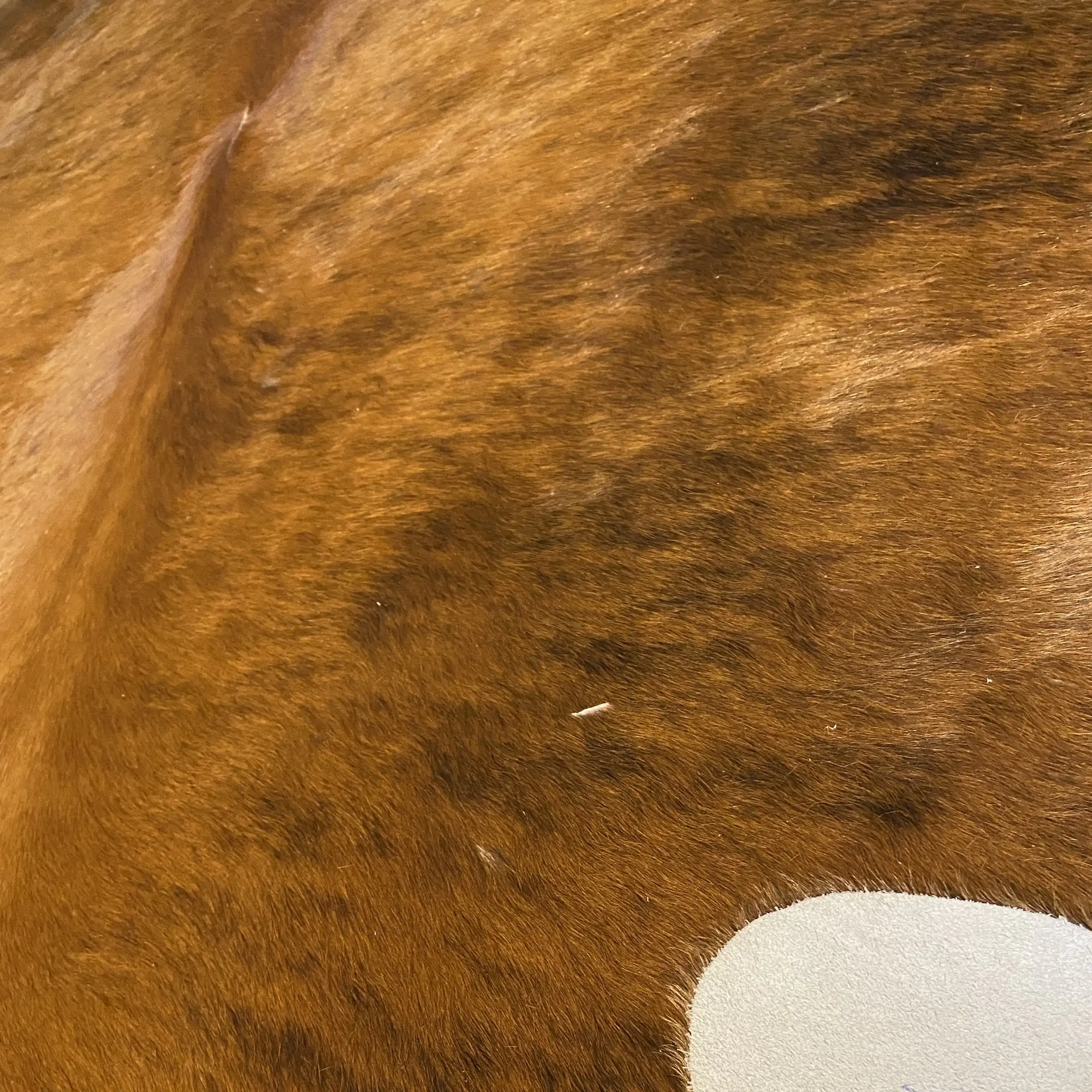 HAKİKİ DERİ DANA POSTU EGZOTİK 185 x 205 - 0401000119