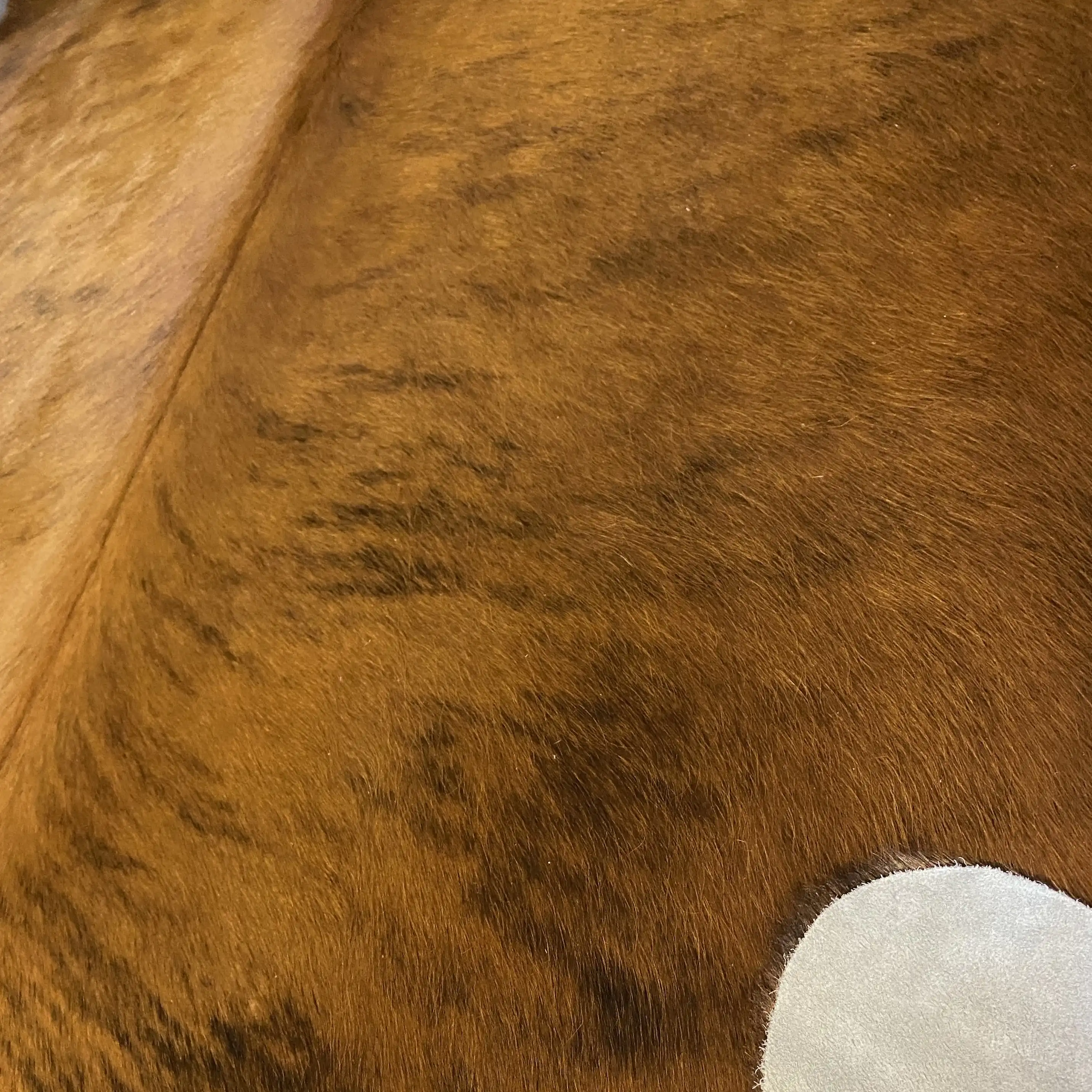 HAKİKİ DERİ DANA POSTU EGZOTİK 185 x 210 - 0401000115