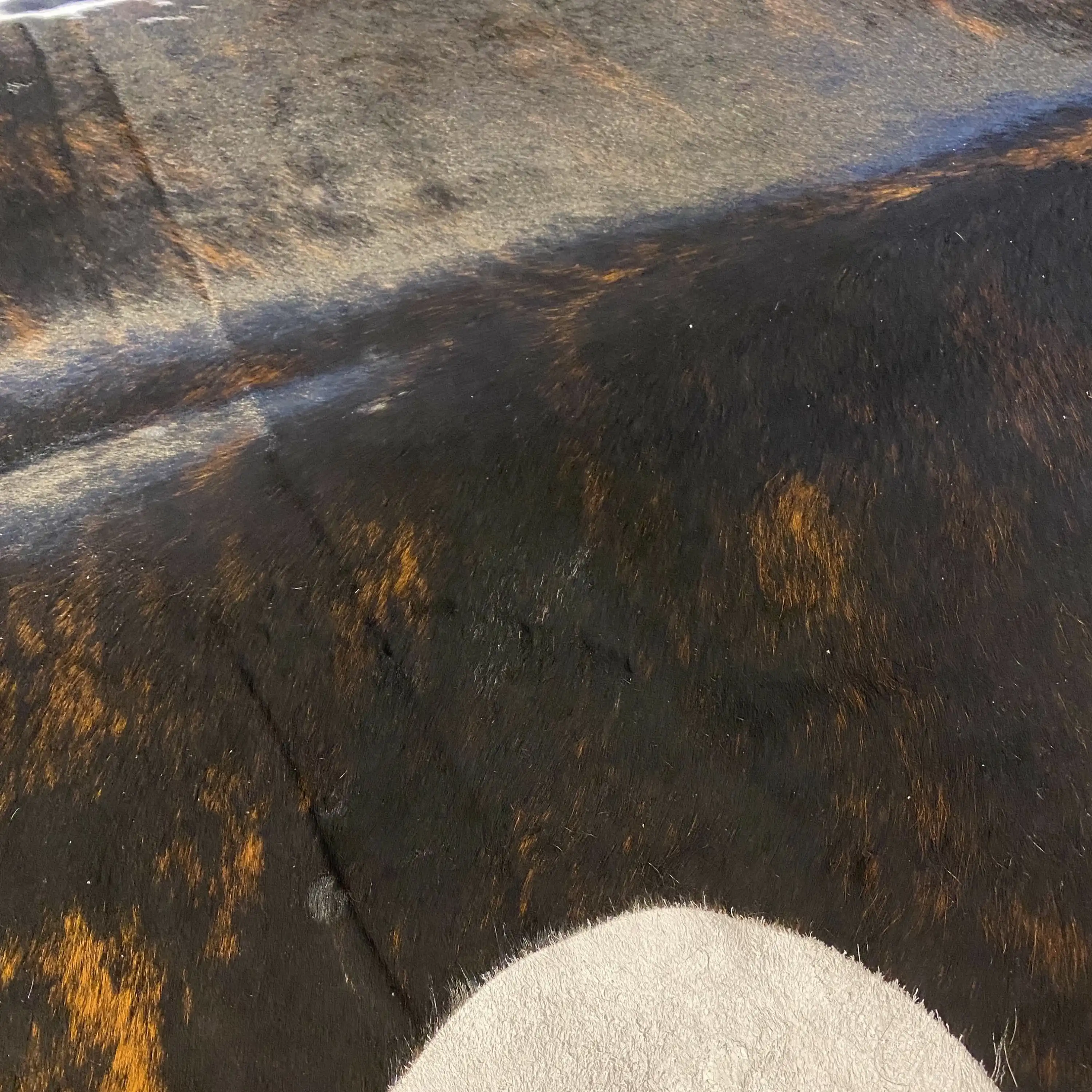 HAKİKİ DERİ DANA POSTU EGZOTİK 185 x 215 - 0401000419