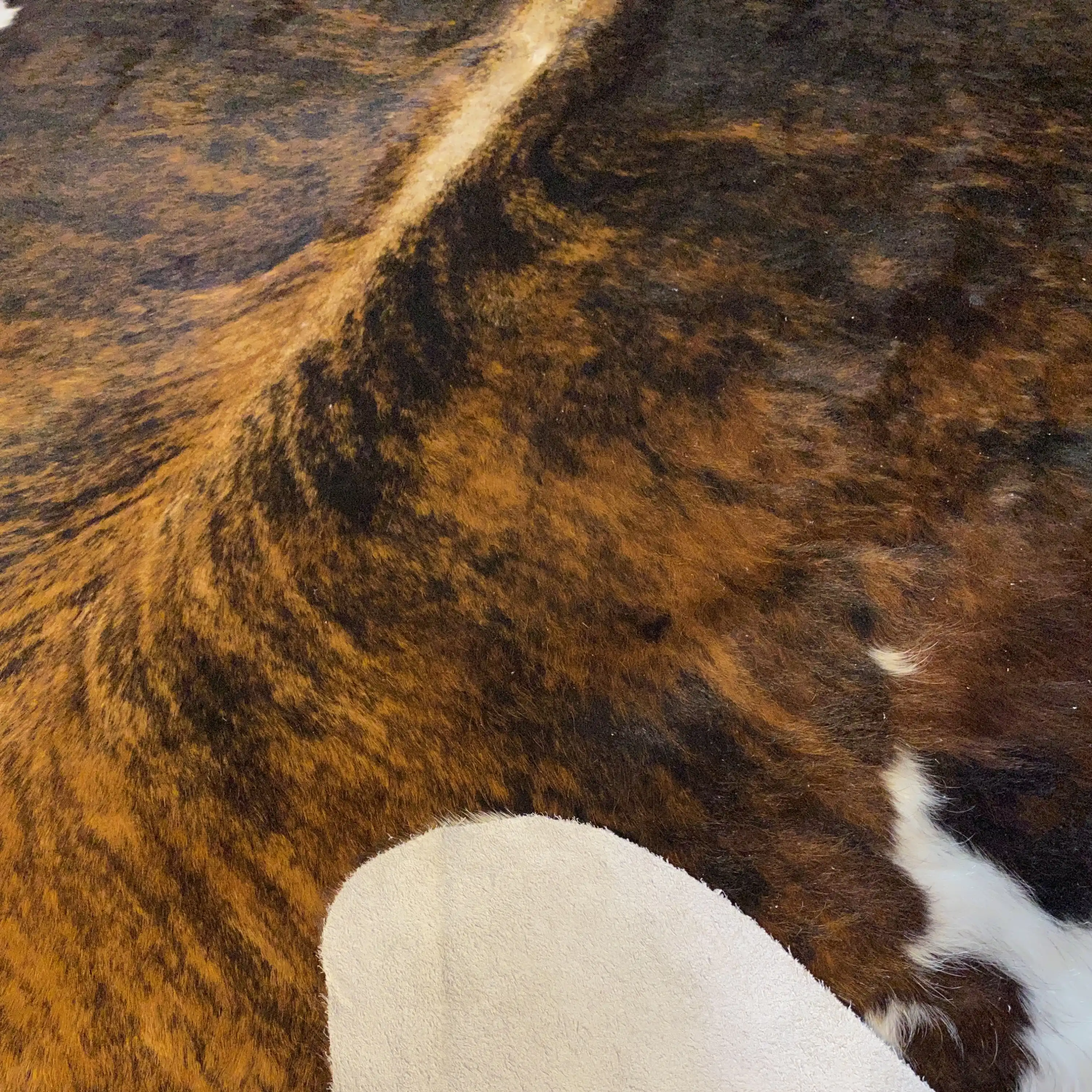 HAKİKİ DERİ DANA POSTU EGZOTİK 185 x 225 - 0401000316