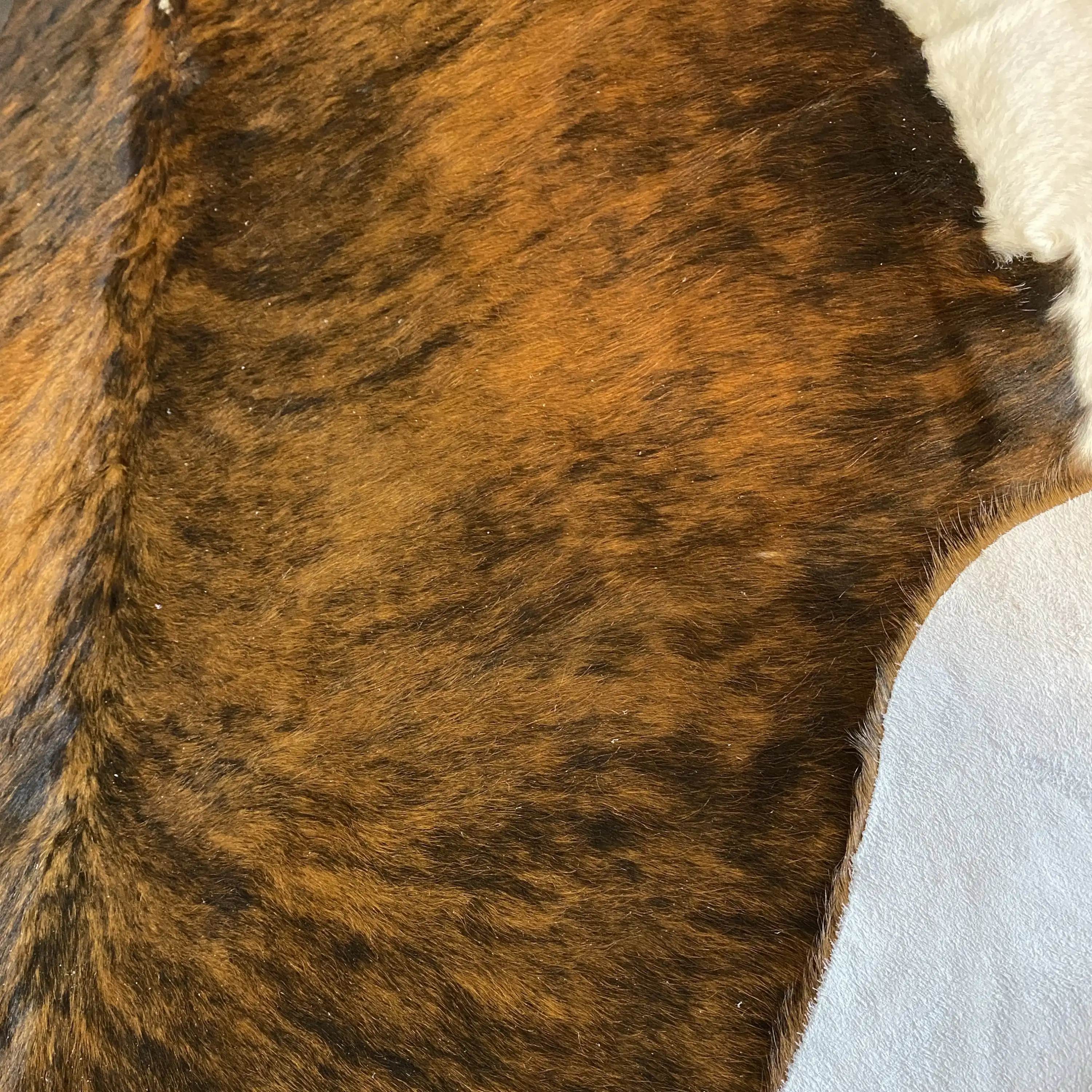 HAKİKİ DERİ DANA POSTU EGZOTİK 185 x 230 - 0401000086