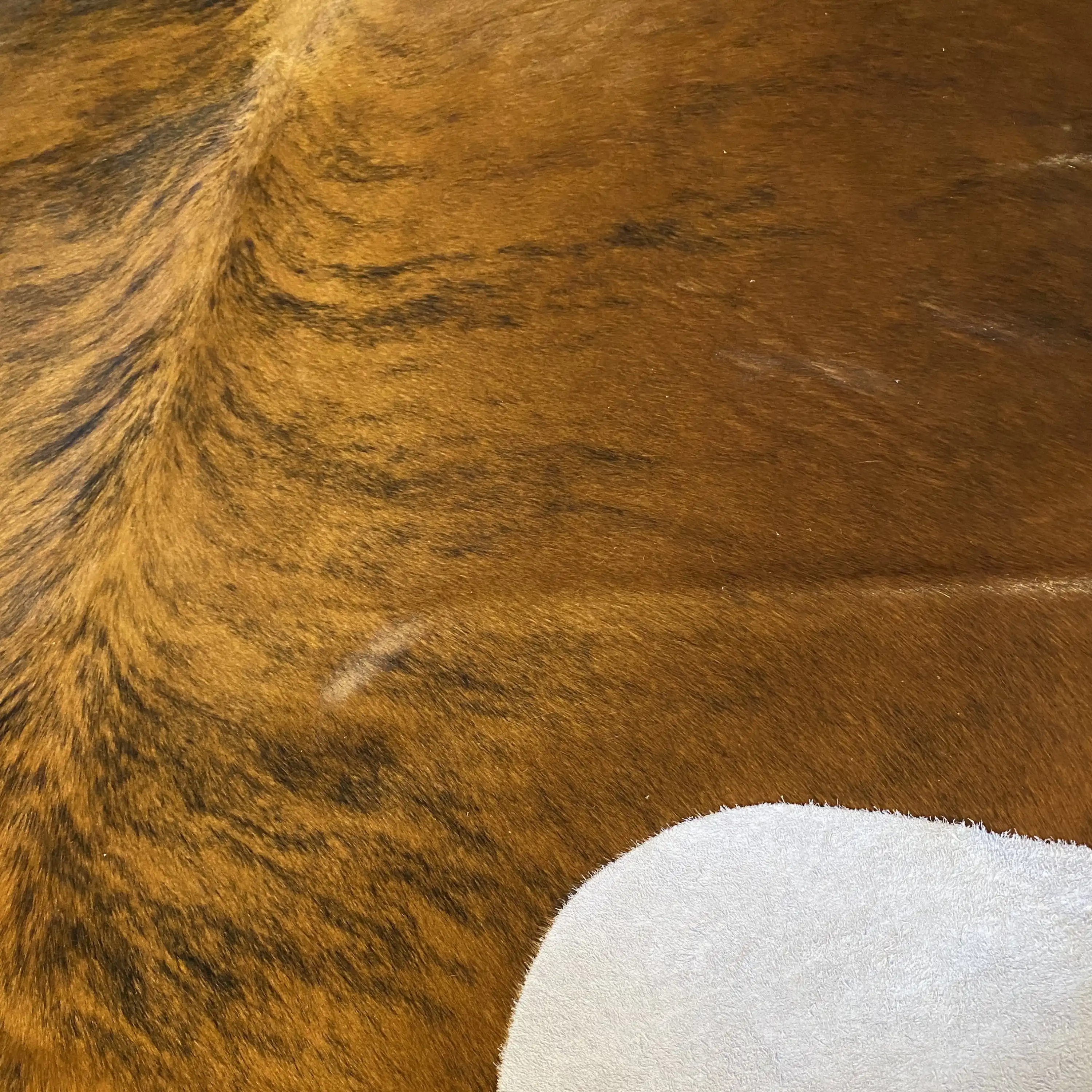 HAKİKİ DERİ DANA POSTU EGZOTİK 185 x 235 - 0401000292