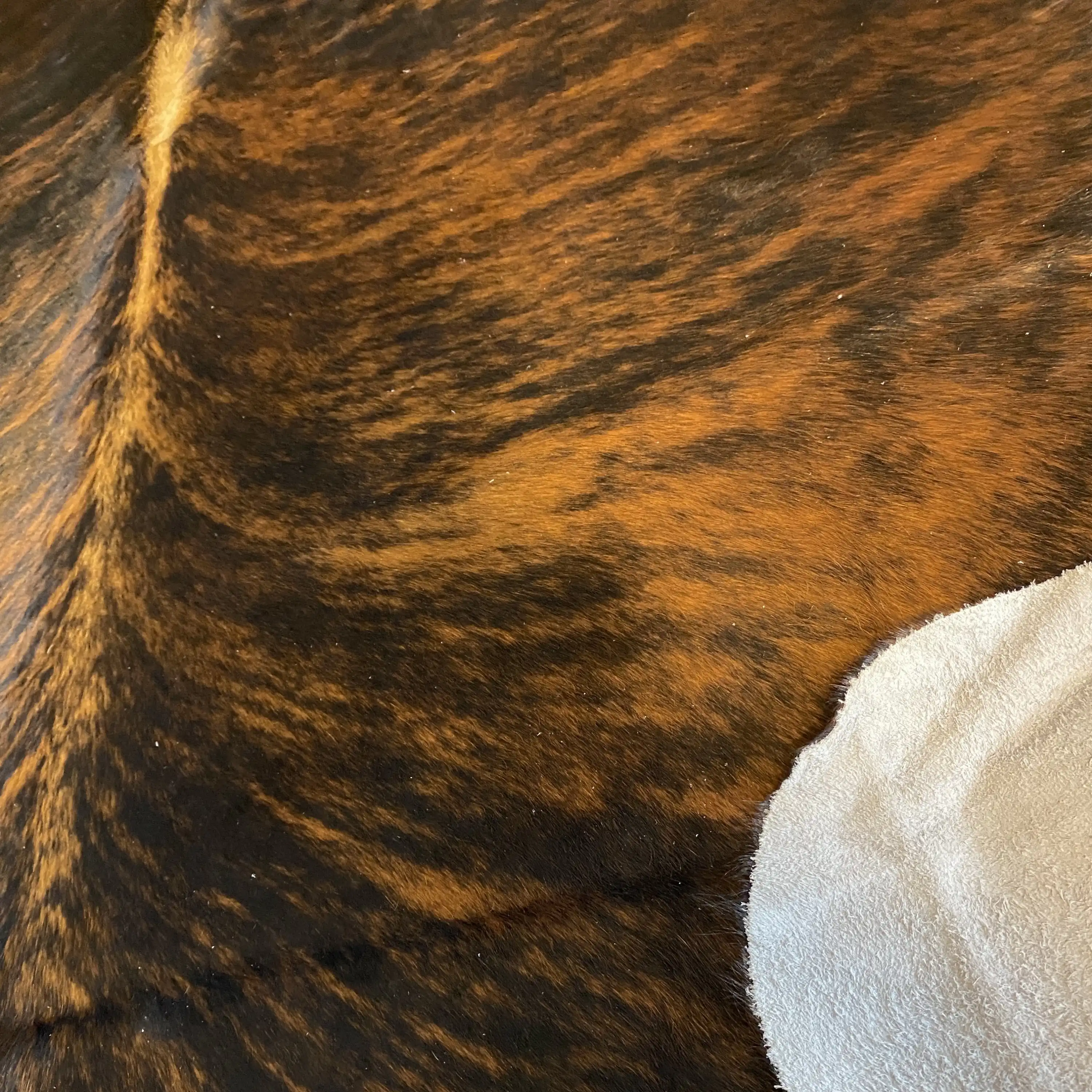 HAKİKİ DERİ DANA POSTU EGZOTİK 190 x 240 - 0401000084