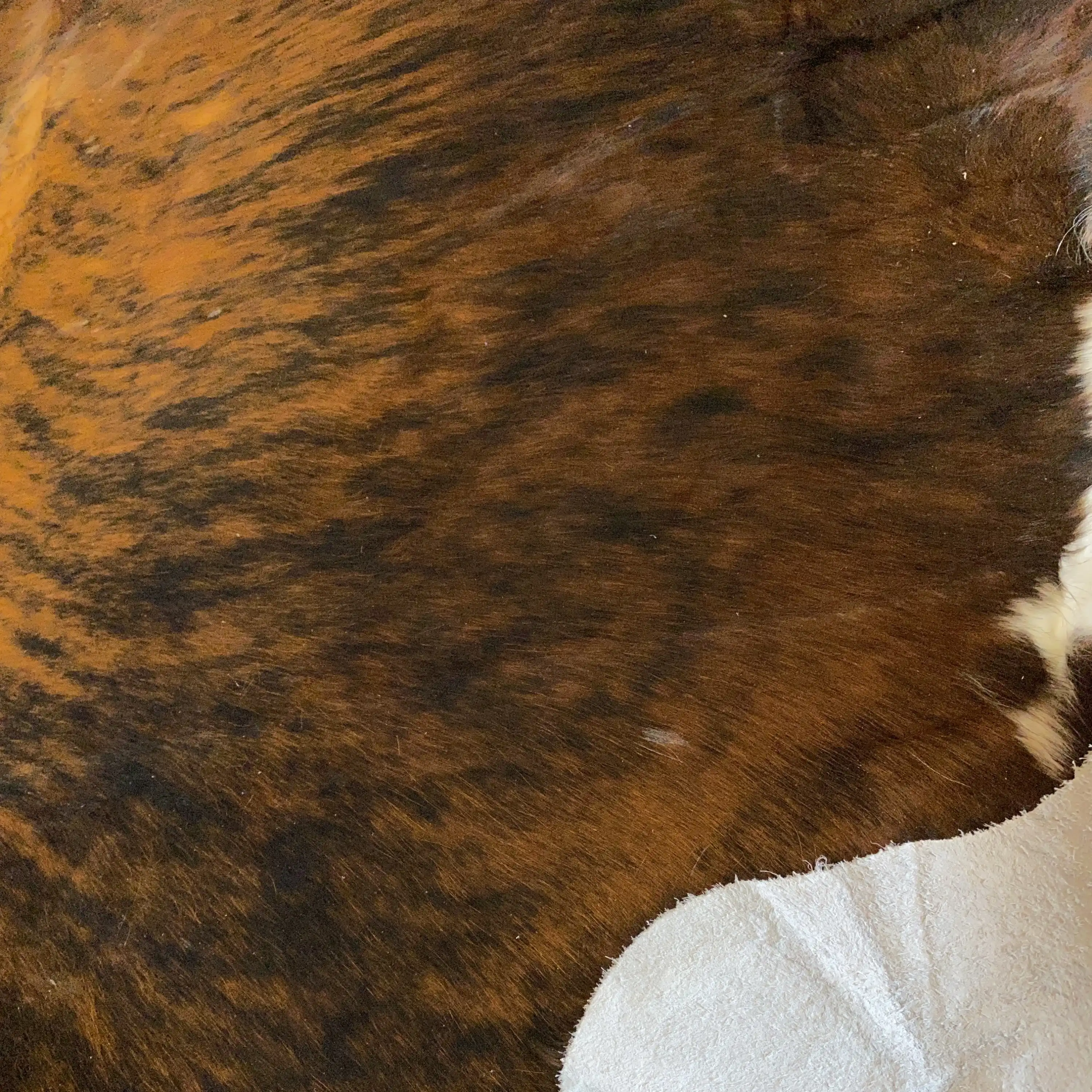 HAKİKİ DERİ DANA POSTU EGZOTİK 195 x 215 - 0401000040