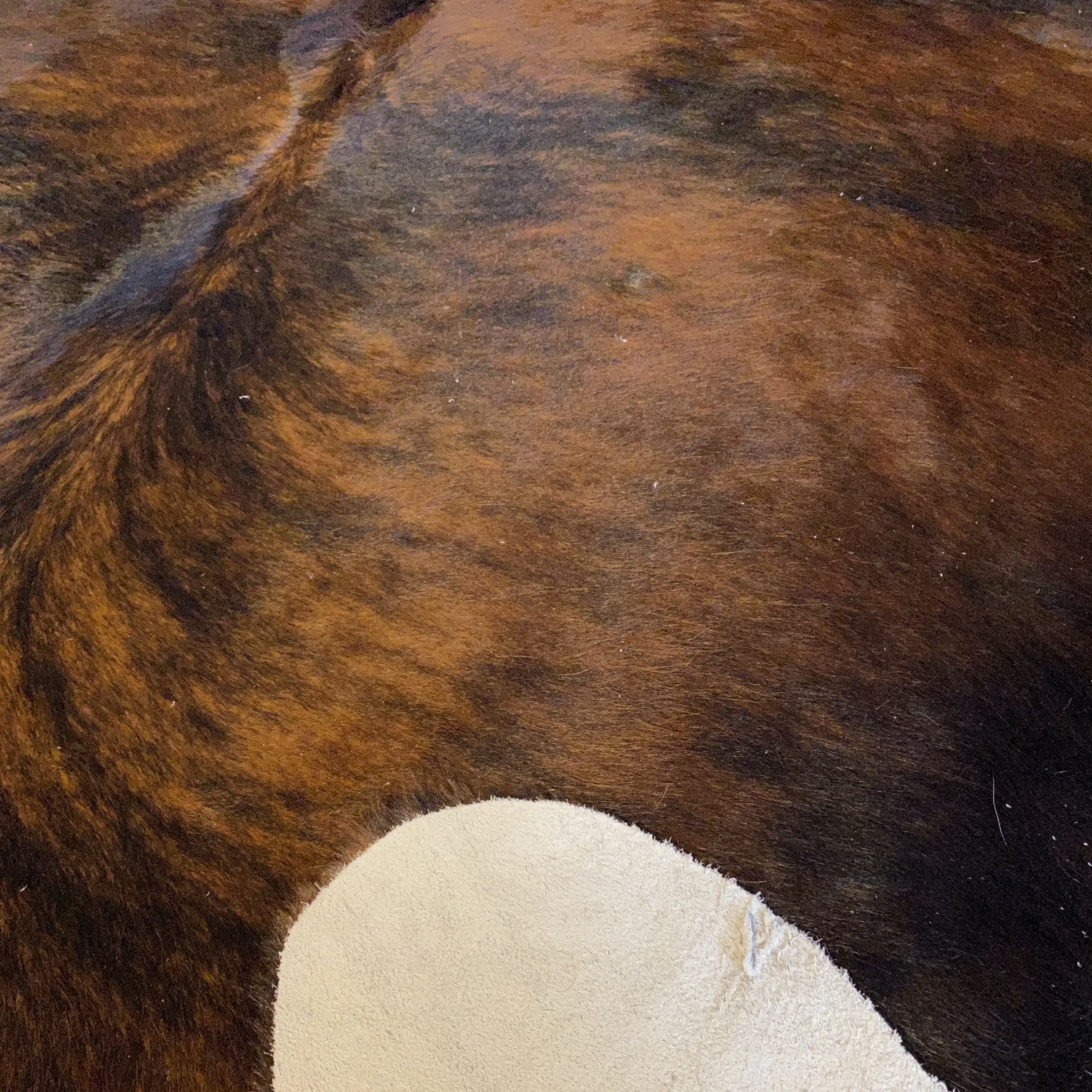 HAKİKİ DERİ DANA POSTU EGZOTİK 195 x 215 - 0401000325