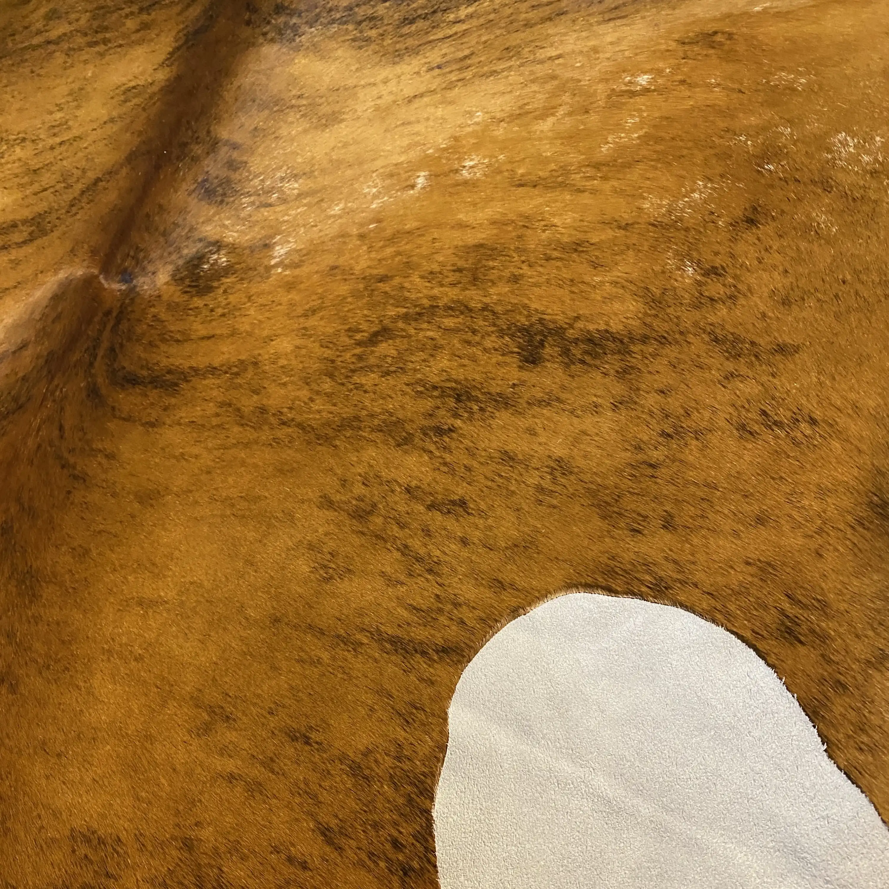 HAKİKİ DERİ DANA POSTU EGZOTİK 195 x 220 - 0401000218