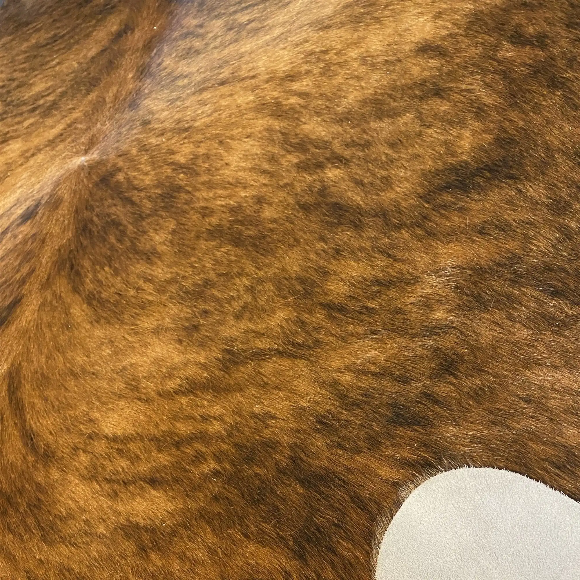 HAKİKİ DERİ DANA POSTU EGZOTİK 195 x 230 - 0401000114