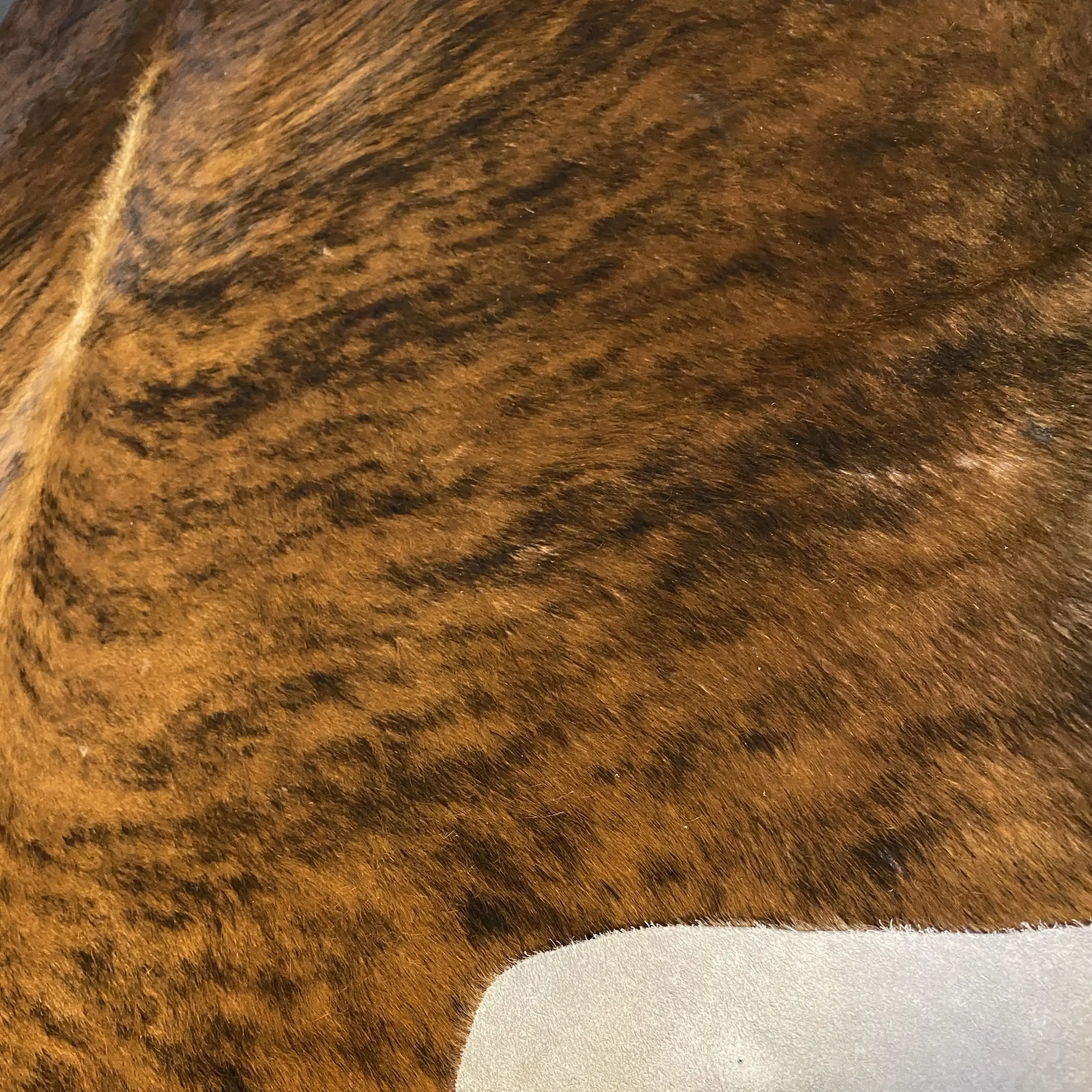 HAKİKİ DERİ DANA POSTU EGZOTİK 195 x 235 - 0401000125