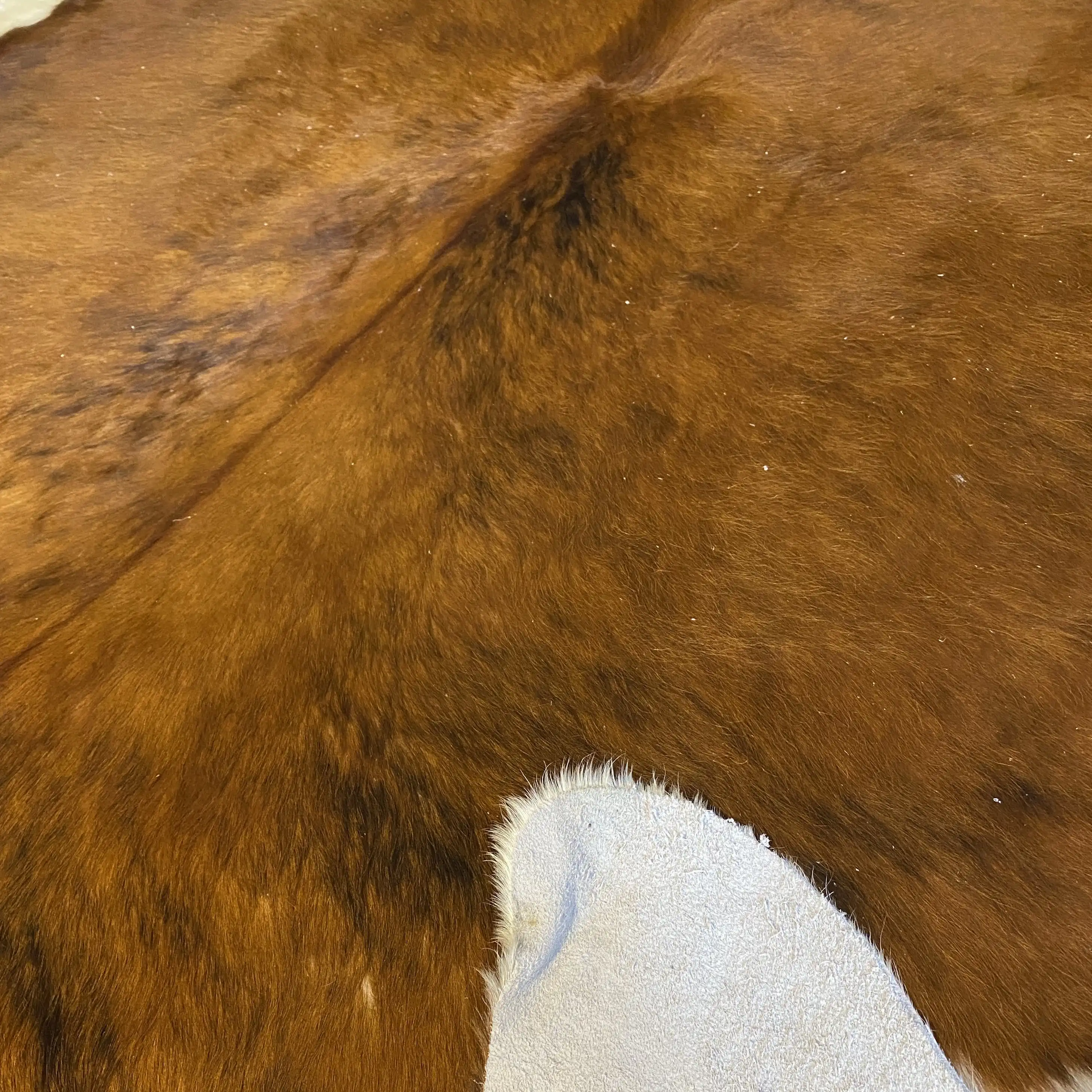 HAKİKİ DERİ DANA POSTU EGZOTİK 195 x 235 - 0401000307