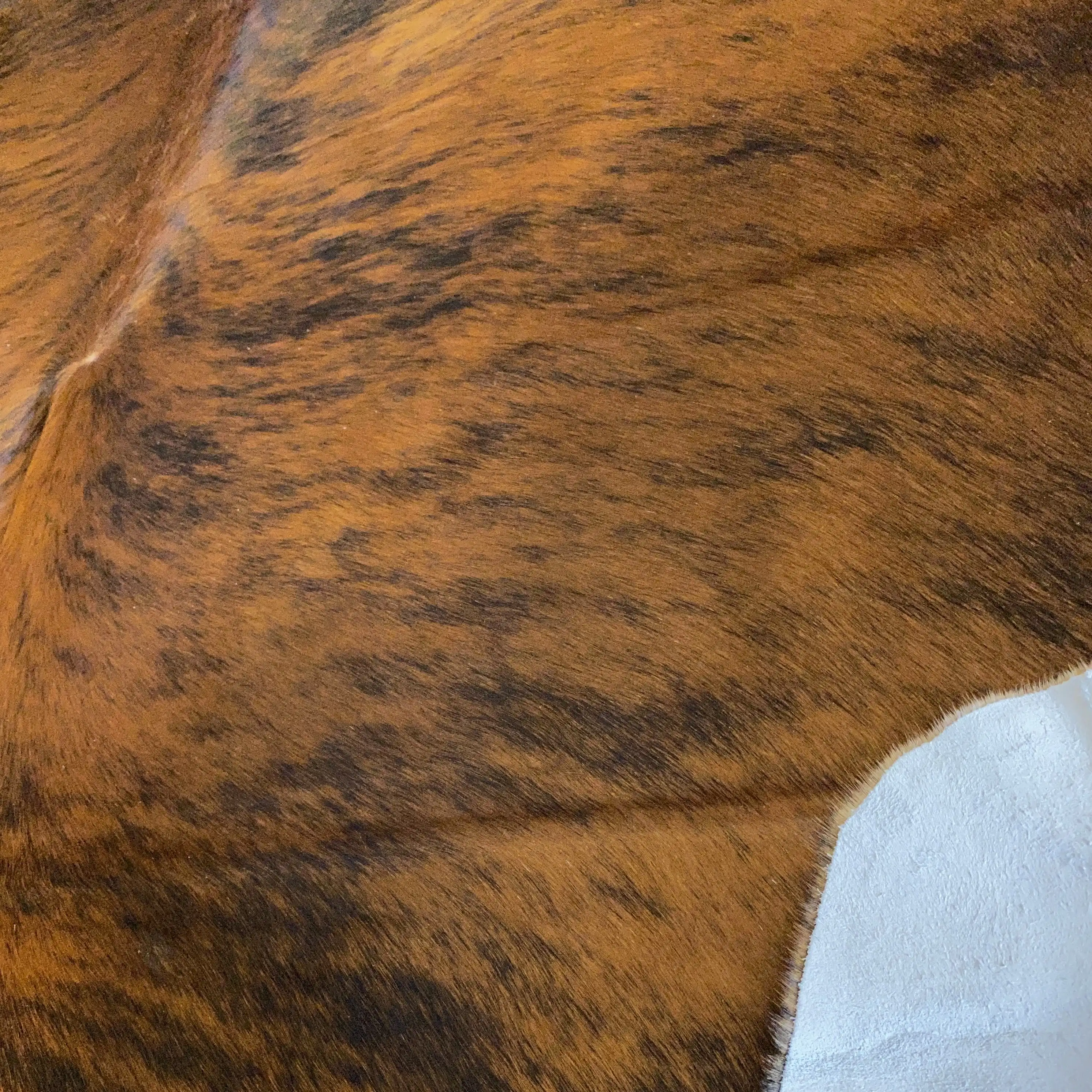 HAKİKİ DERİ DANA POSTU EGZOTİK 200 x 205 - 0401000057