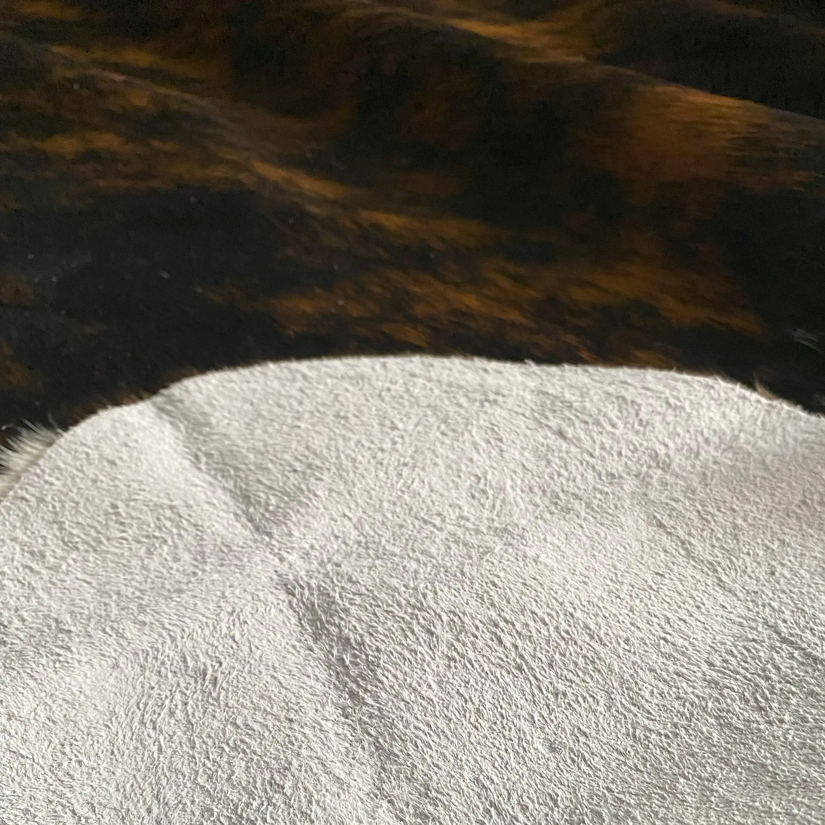 HAKİKİ DERİ DANA POSTU EGZOTİK 200 x 215 - 0401000010