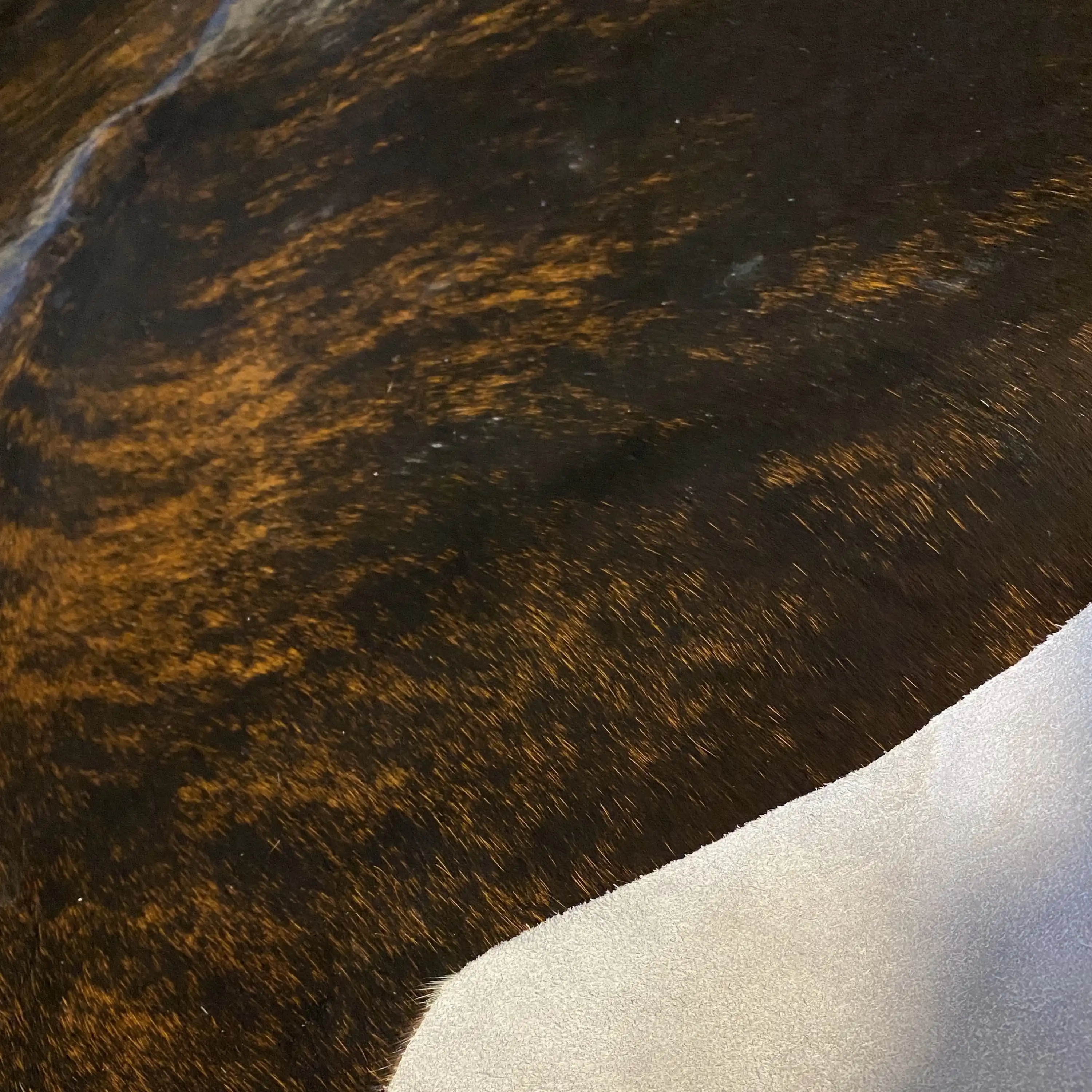 HAKİKİ DERİ DANA POSTU EGZOTİK 200 x 215 - 0401000136