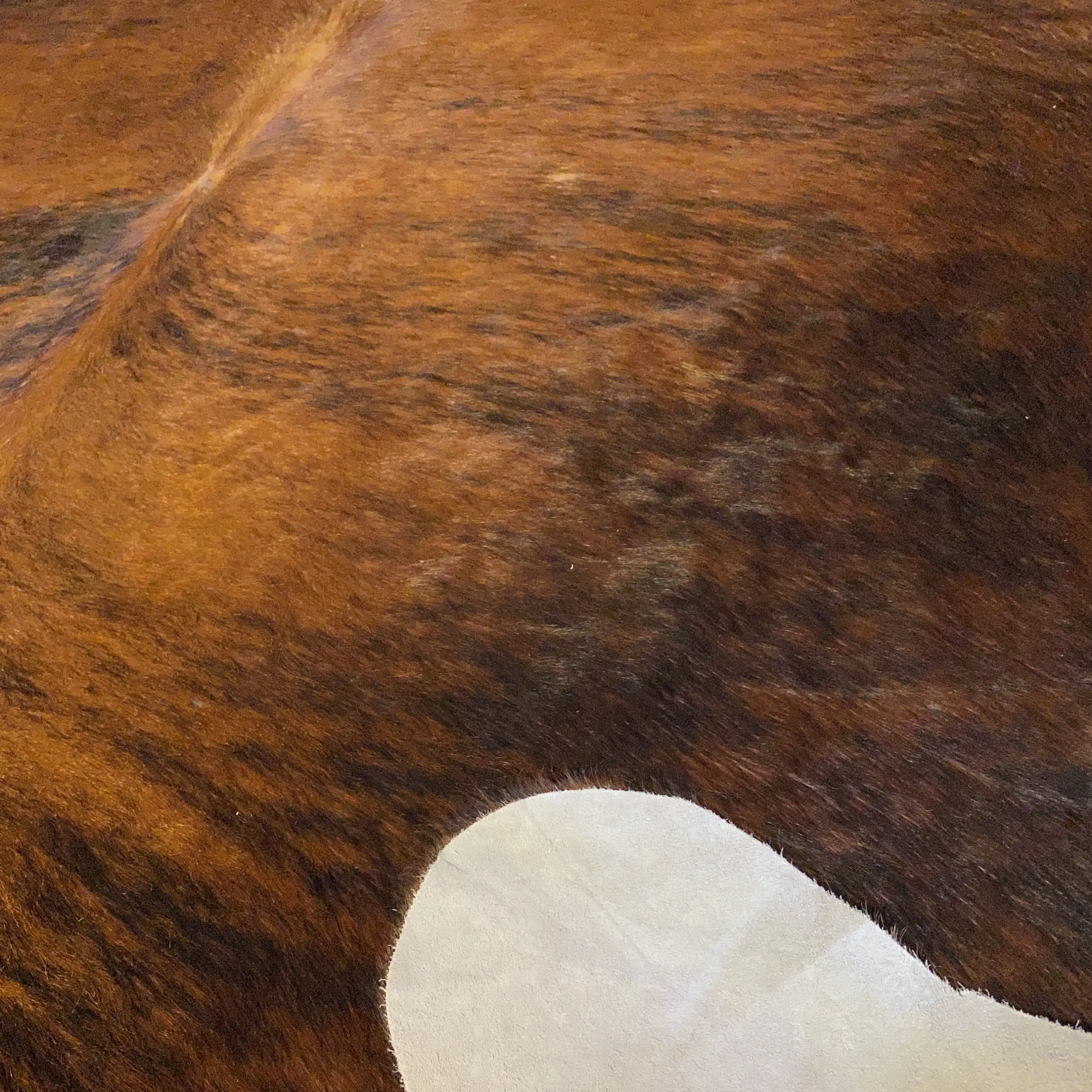 HAKİKİ DERİ DANA POSTU EGZOTİK 200 x 230 - 0401000337