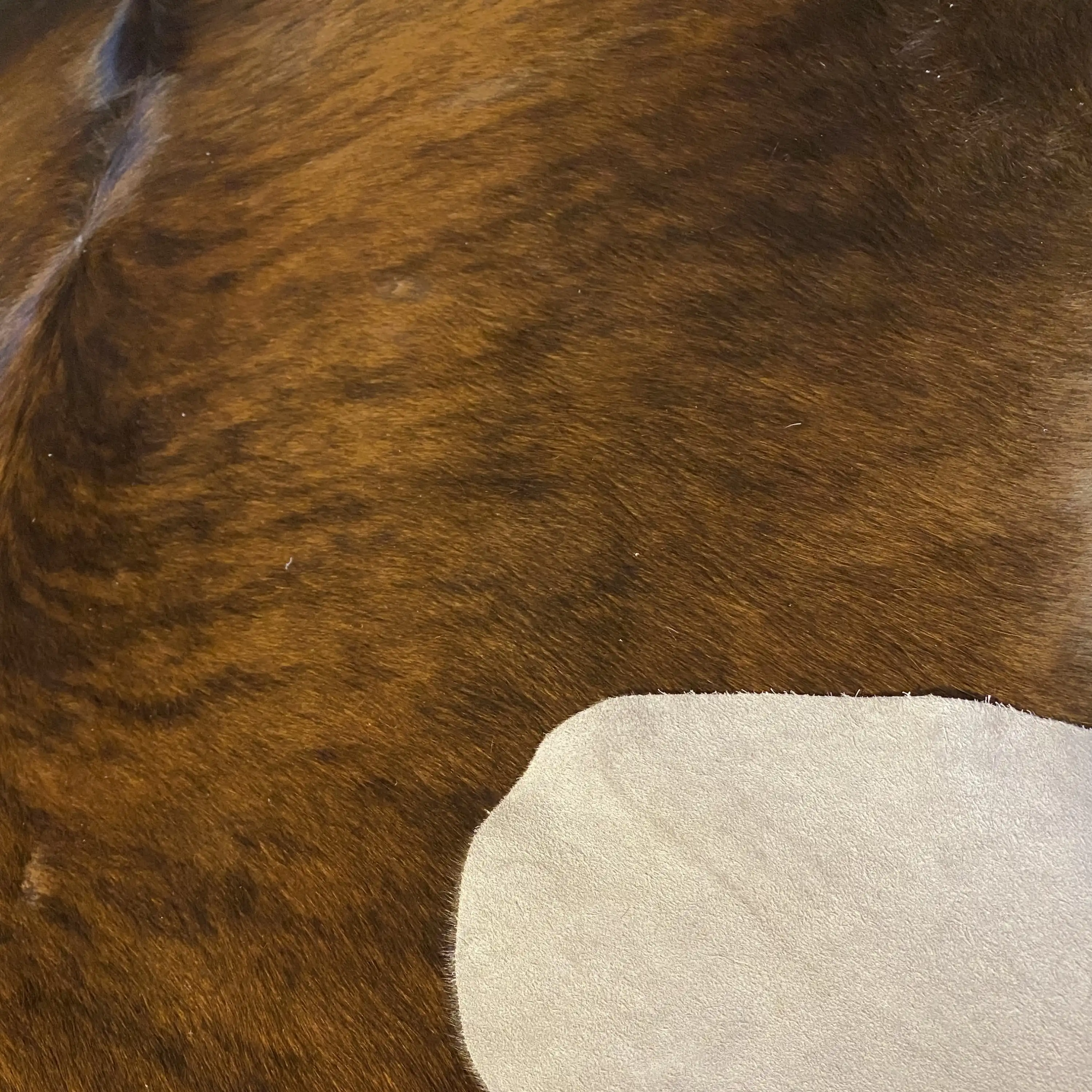 HAKİKİ DERİ DANA POSTU EGZOTİK 200 x 235 - 0401000207