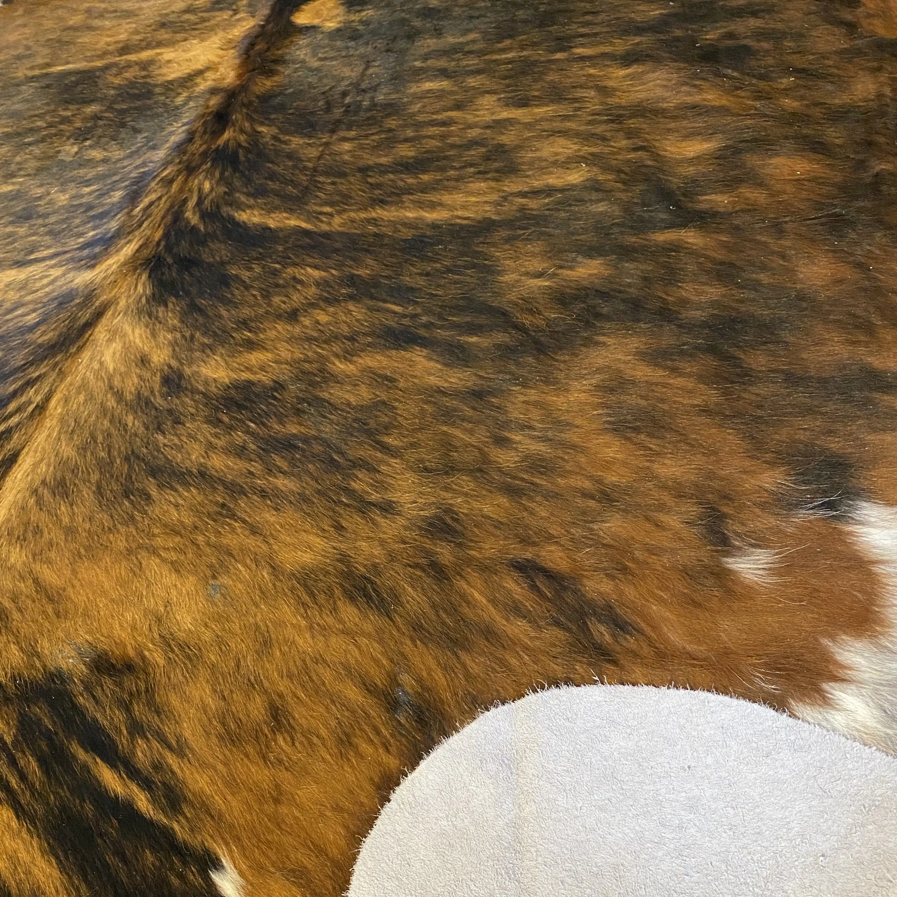 HAKİKİ DERİ DANA POSTU EGZOTİK 200 x 245 - 0401000296