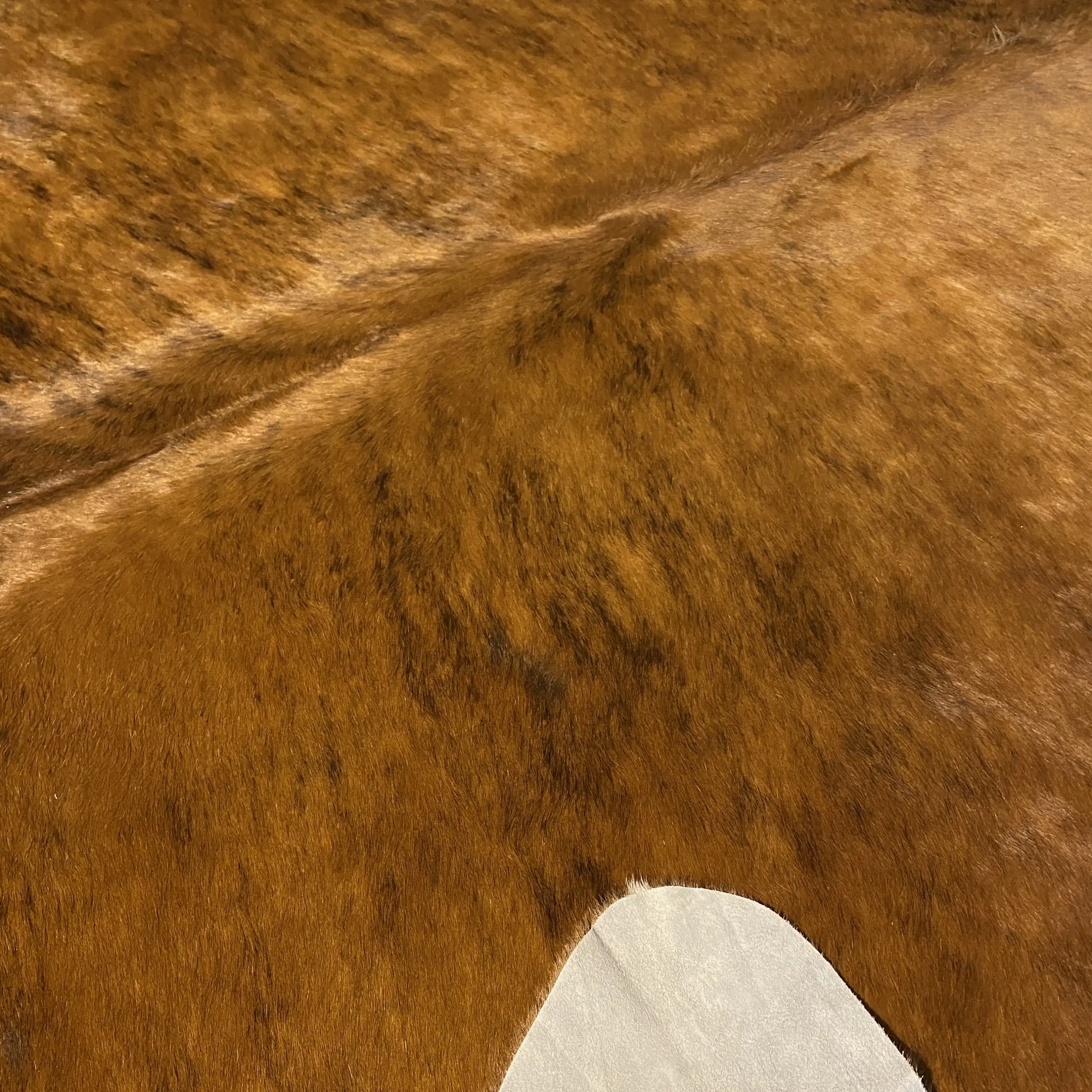 HAKİKİ DERİ DANA POSTU EGZOTİK 205 x 225 - 0401000443