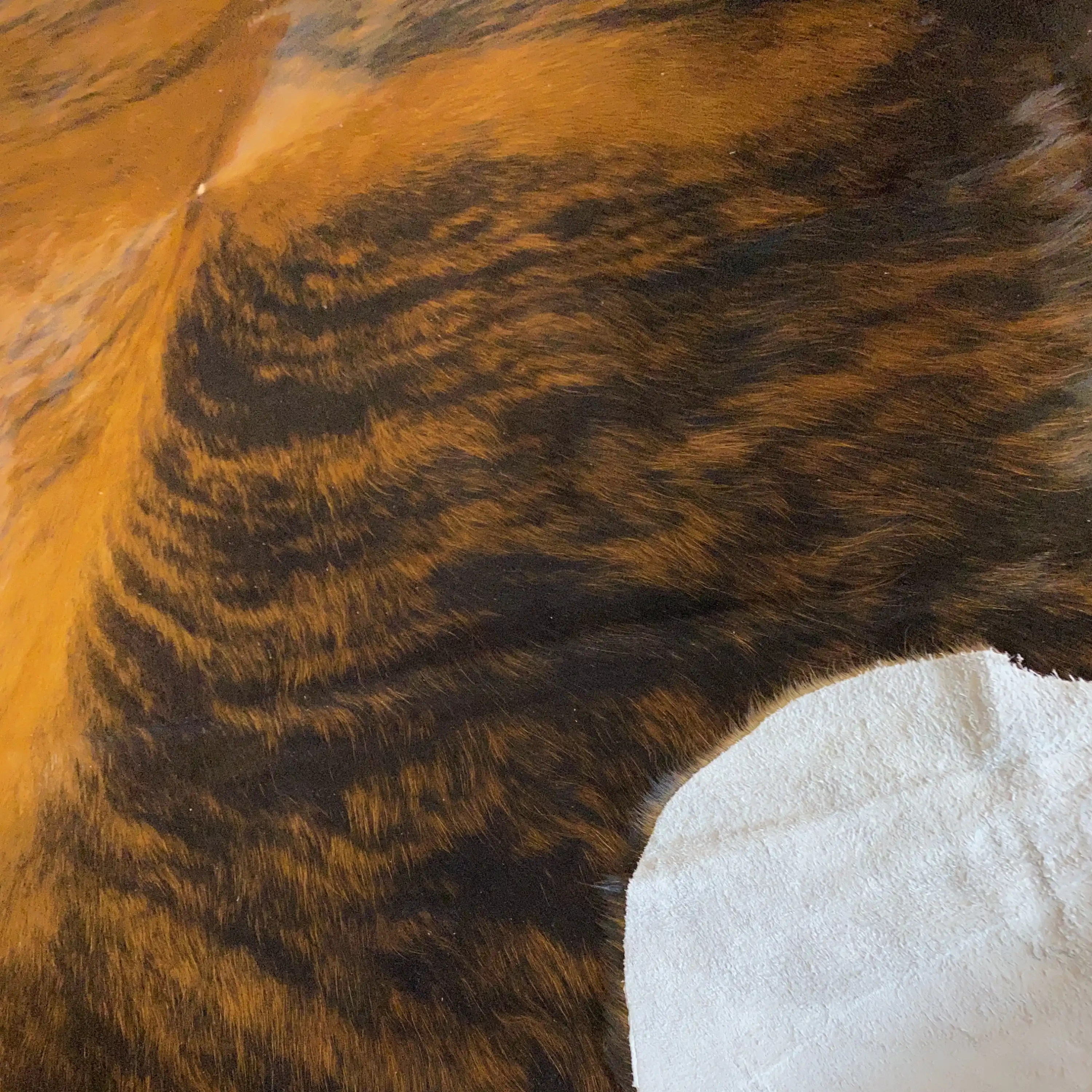 HAKİKİ DERİ DANA POSTU EGZOTİK 205 x 230 - 0401000054