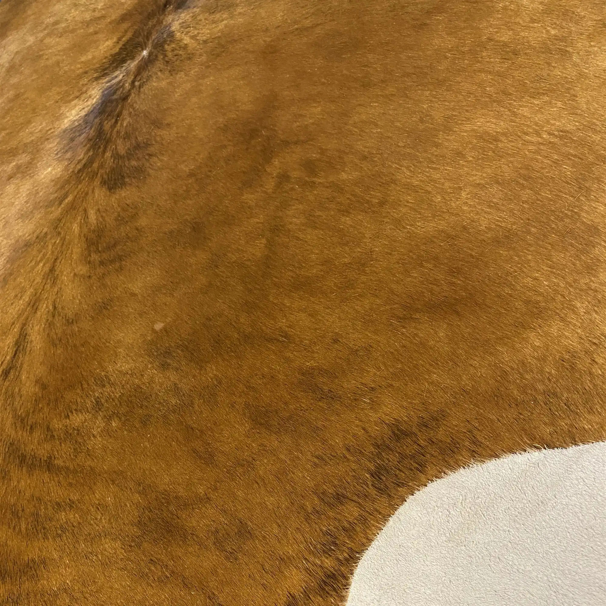 HAKİKİ DERİ DANA POSTU EGZOTİK 205 x 230 - 0401000130