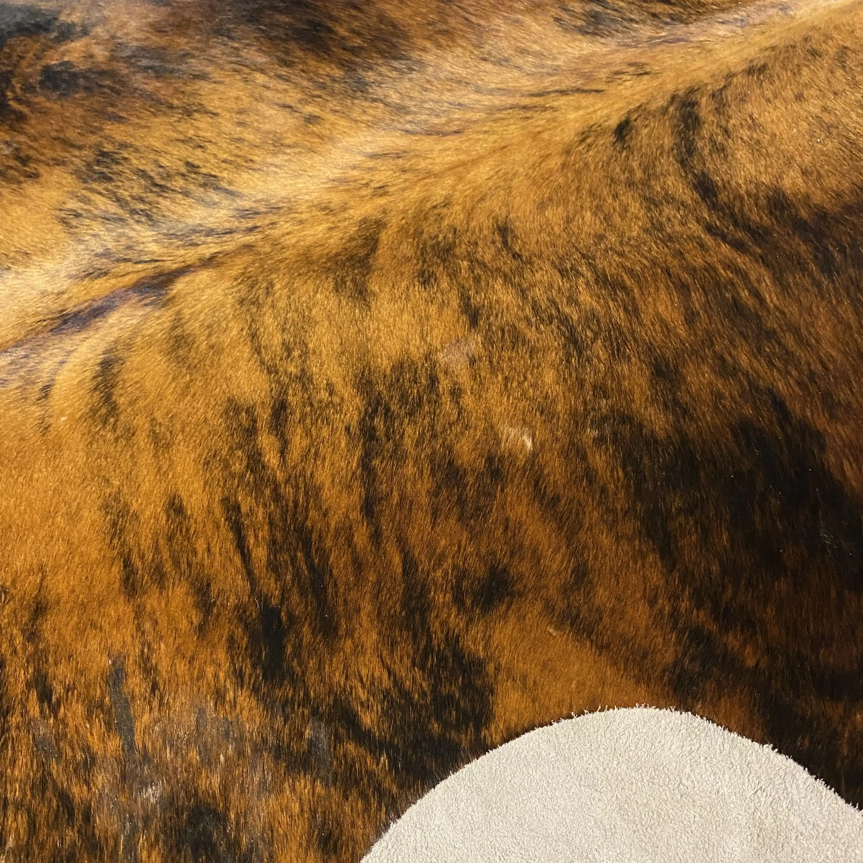 HAKİKİ DERİ DANA POSTU EGZOTİK 205 x 240 - 0401000427