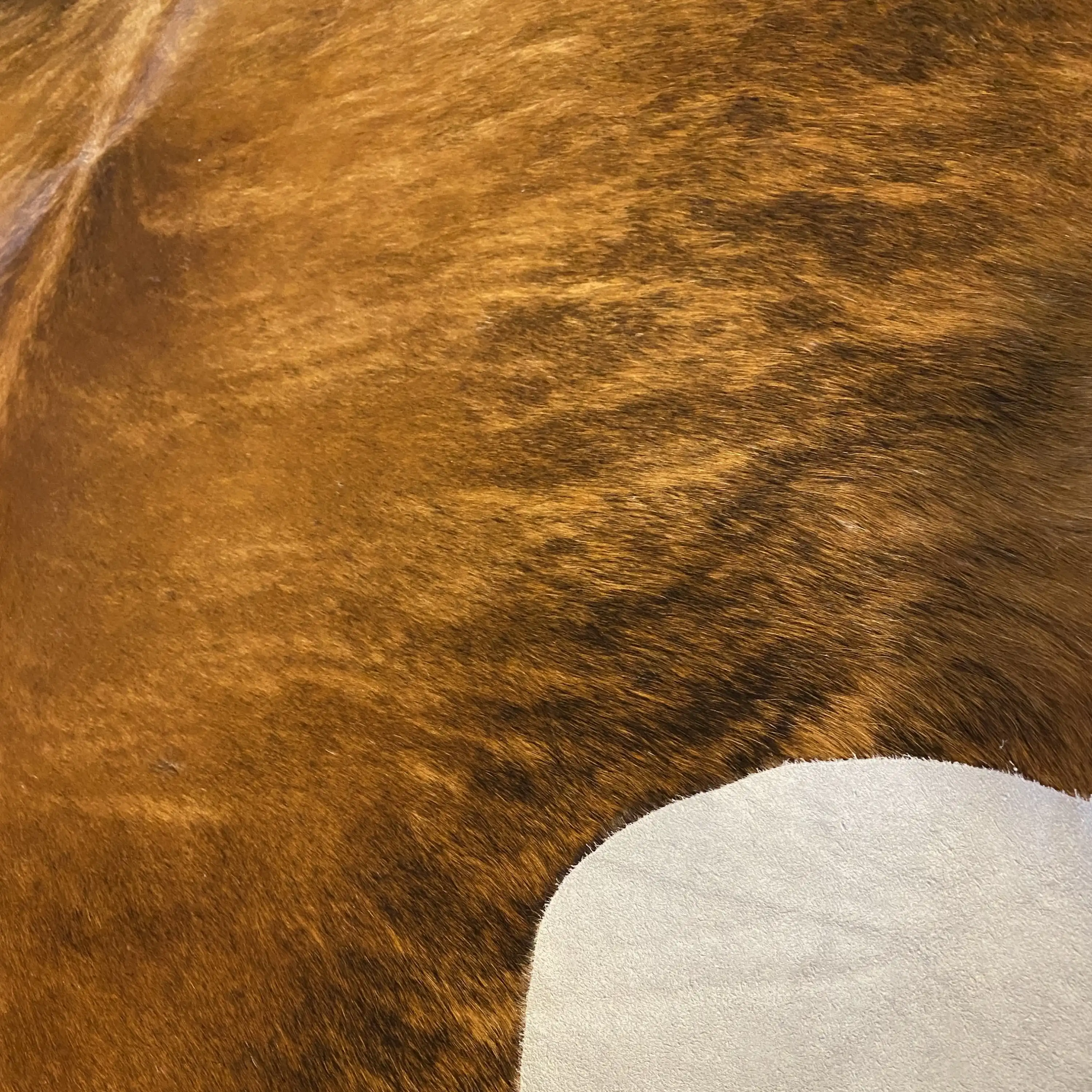 HAKİKİ DERİ DANA POSTU EGZOTİK 210 x 220 - 0401000196