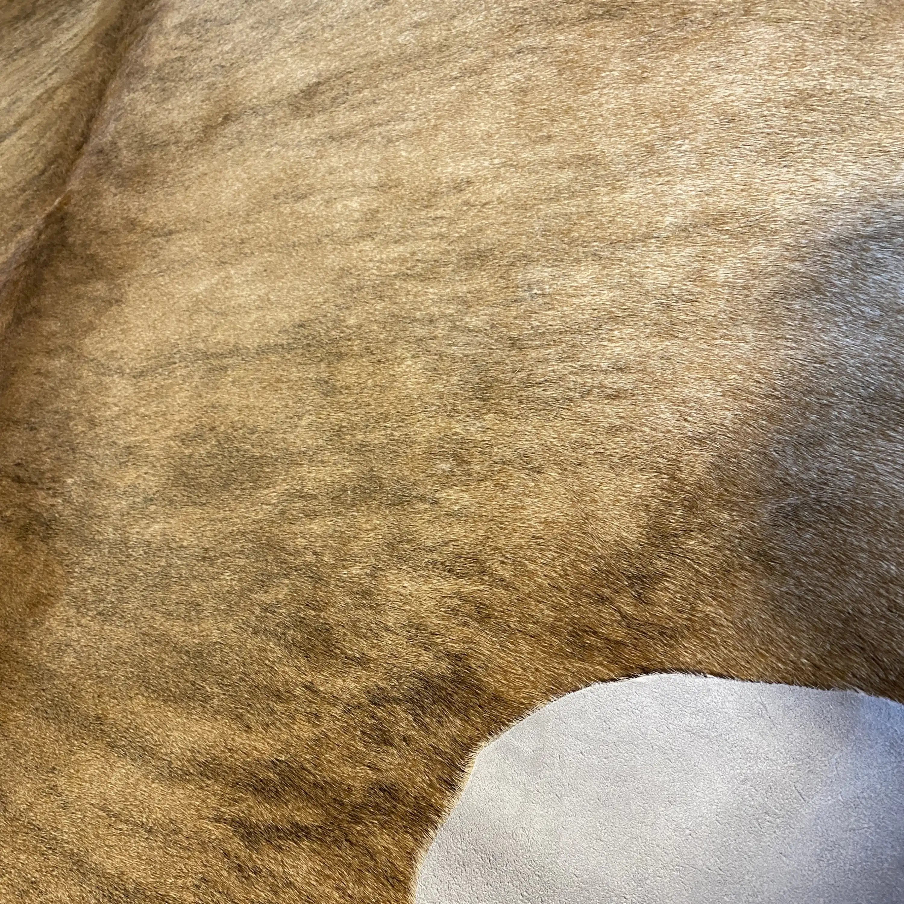 HAKİKİ DERİ DANA POSTU EGZOTİK 210 x 220 - 0401000200