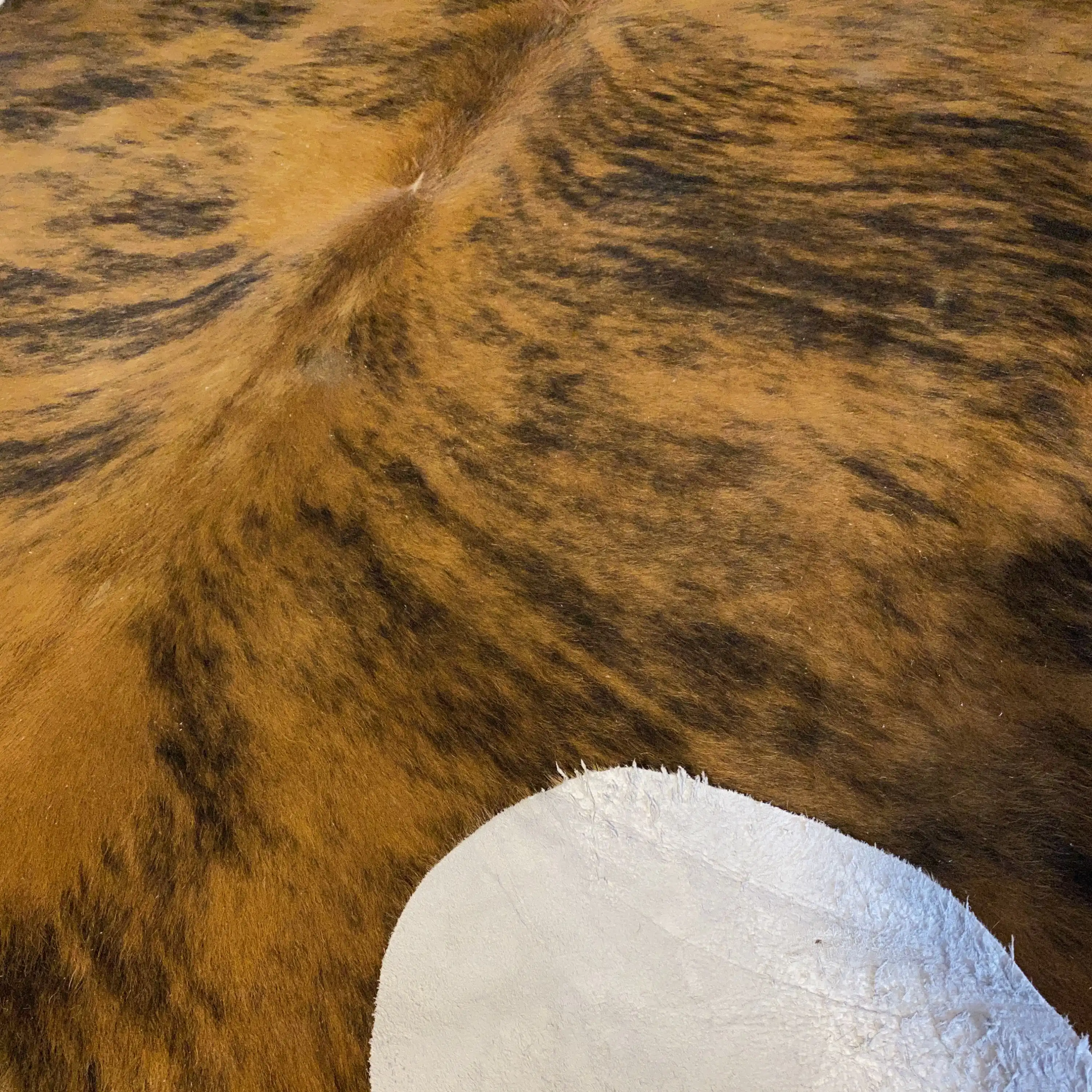 HAKİKİ DERİ DANA POSTU EGZOTİK 210 x 230 - 0401000313