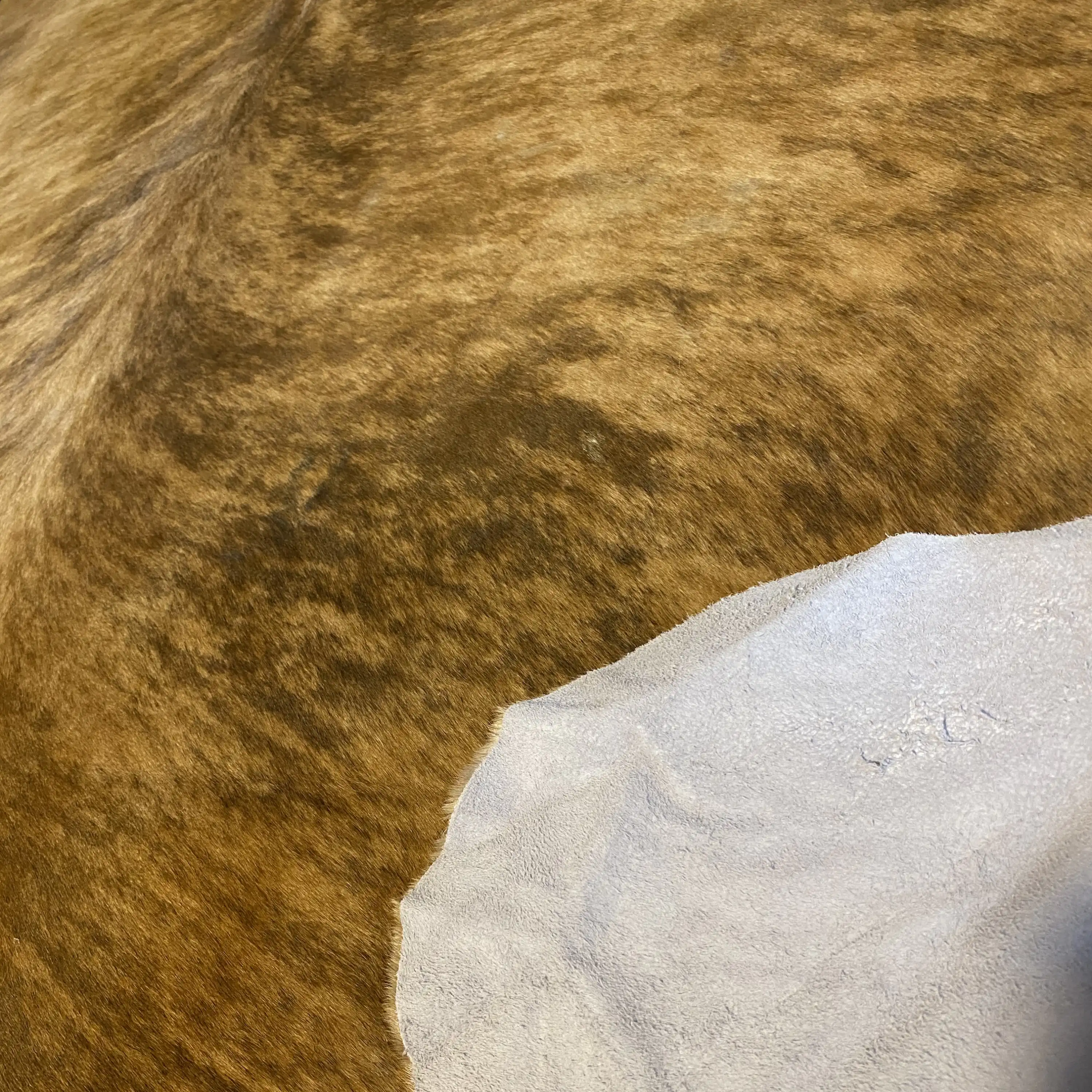 HAKİKİ DERİ DANA POSTU EGZOTİK 210 x 235 - 0401000148