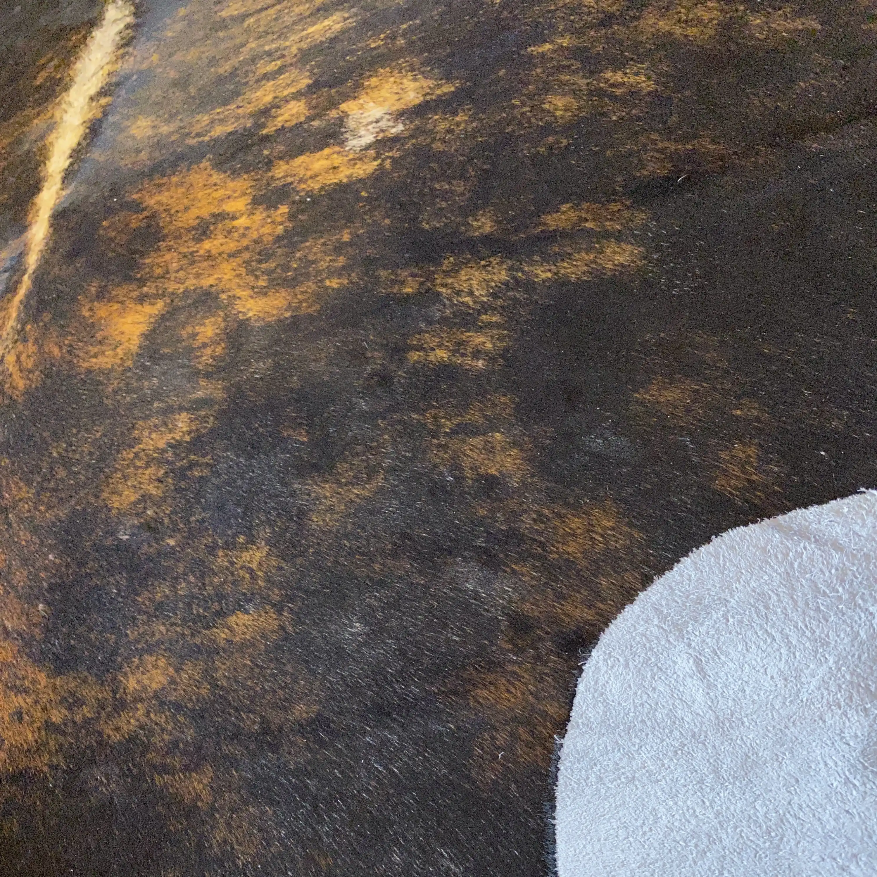 HAKİKİ DERİ DANA POSTU EGZOTİK 210 x 240 - 0401000075