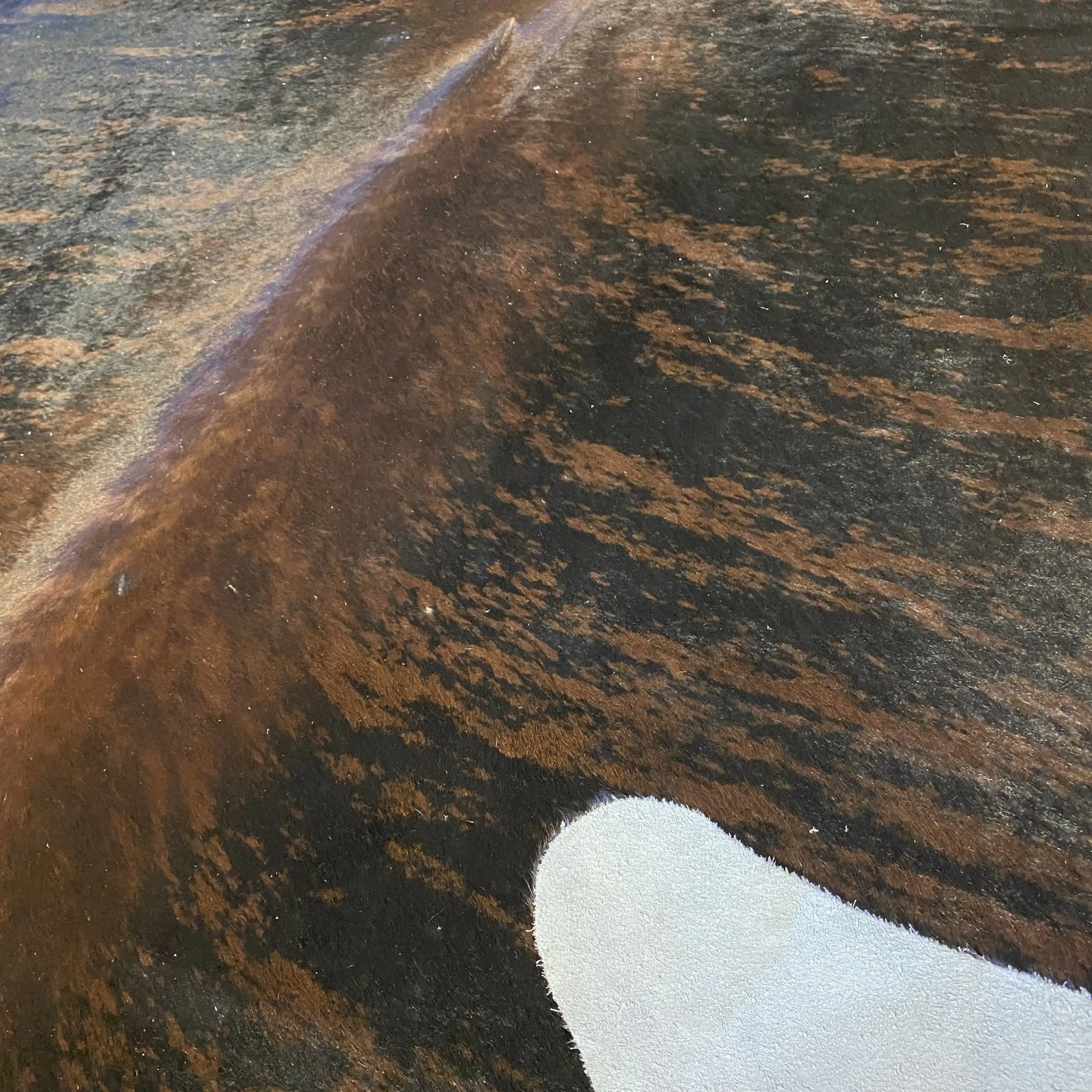 HAKİKİ DERİ DANA POSTU EGZOTİK 215 x 235 - 0401000260