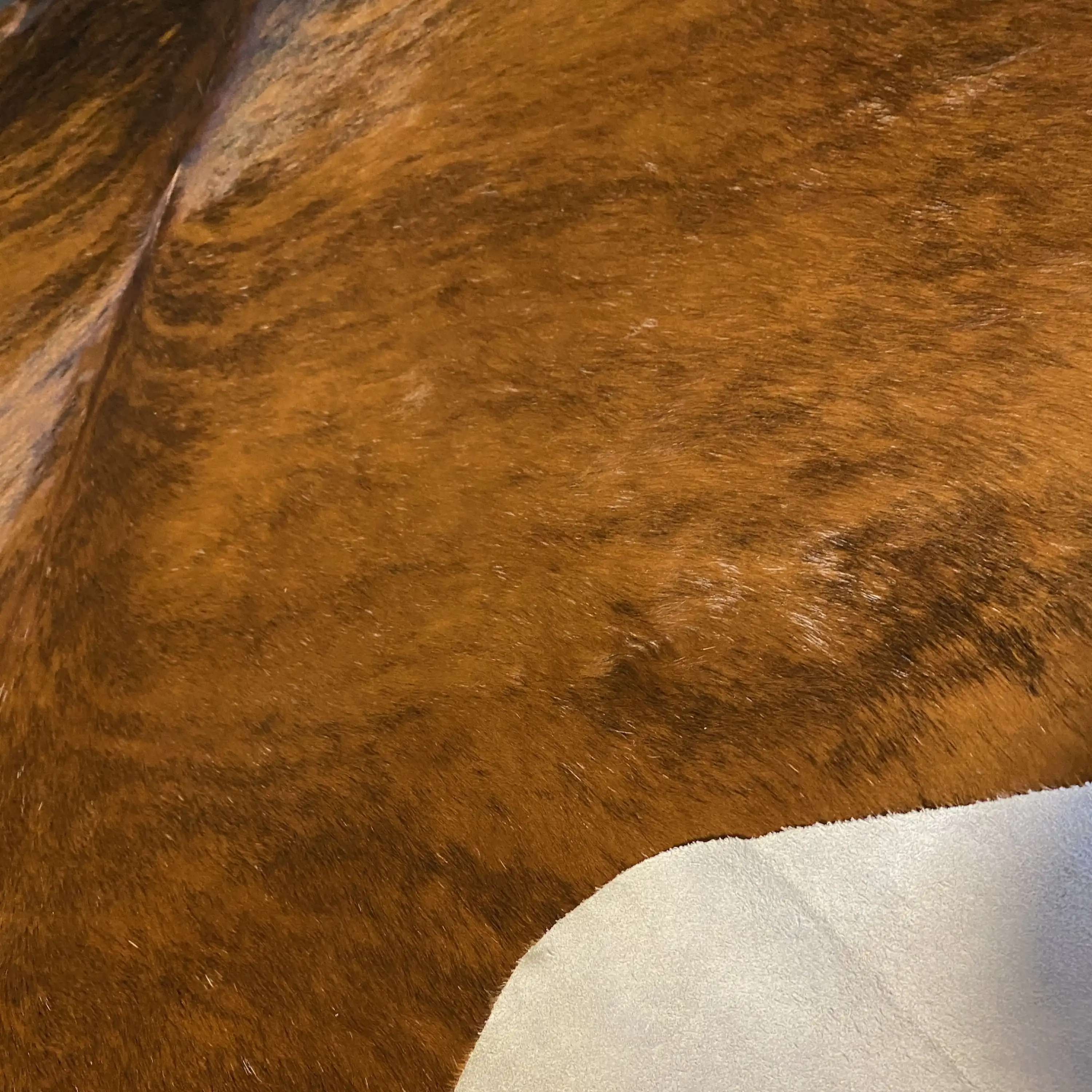 HAKİKİ DERİ DANA POSTU EGZOTİK 215 x 250 - 0401000135