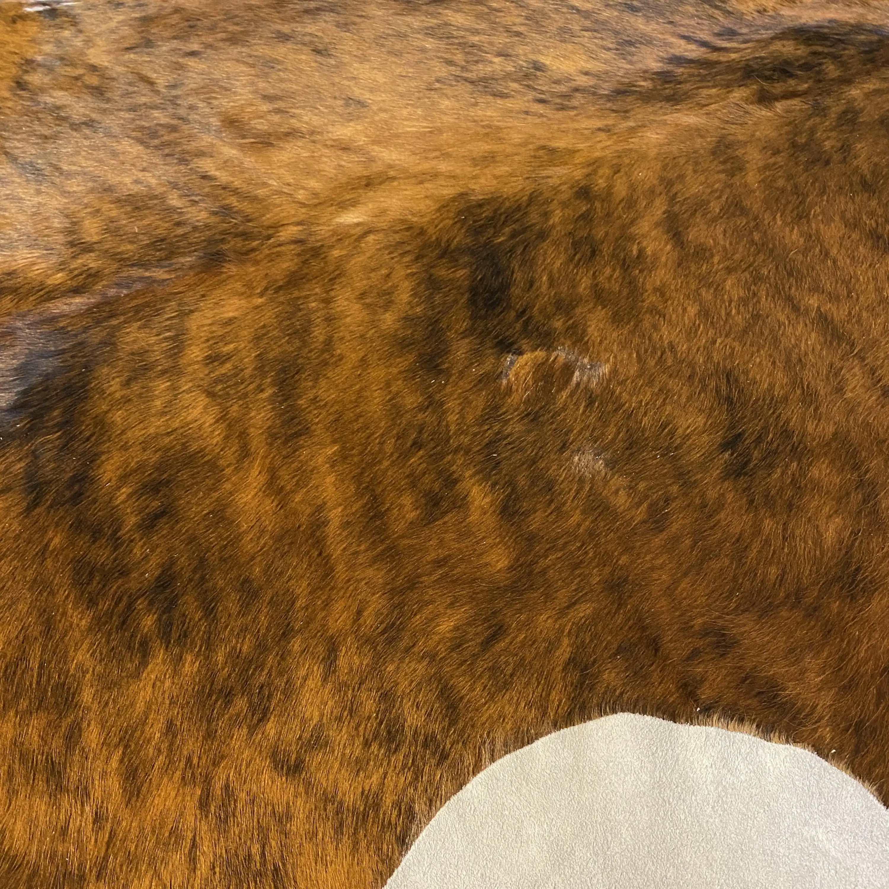 HAKİKİ DERİ DANA POSTU EGZOTİK 215 x 250 - 0401000426