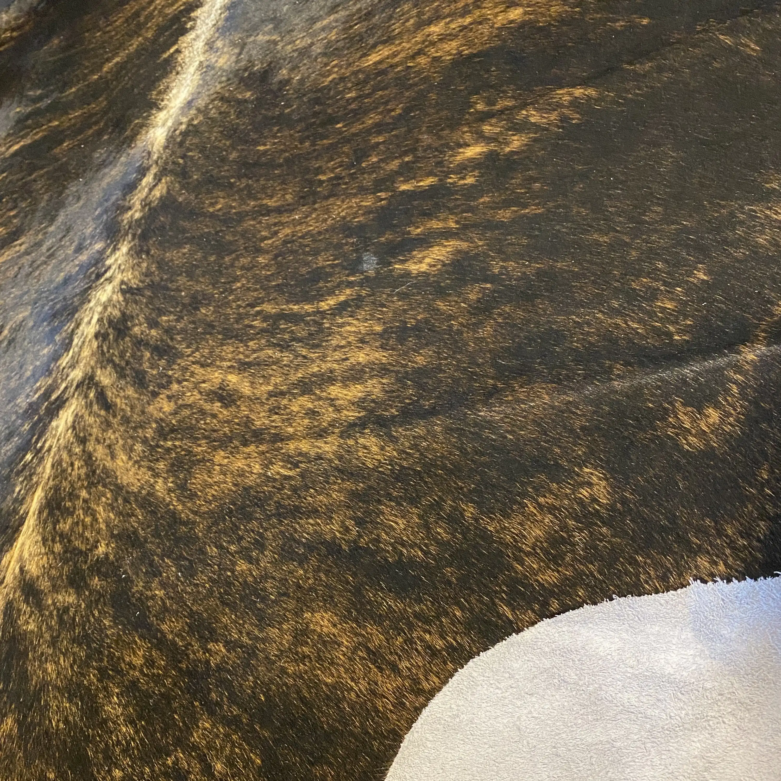 HAKİKİ DERİ DANA POSTU EGZOTİK 215 x 260 - 0401000153