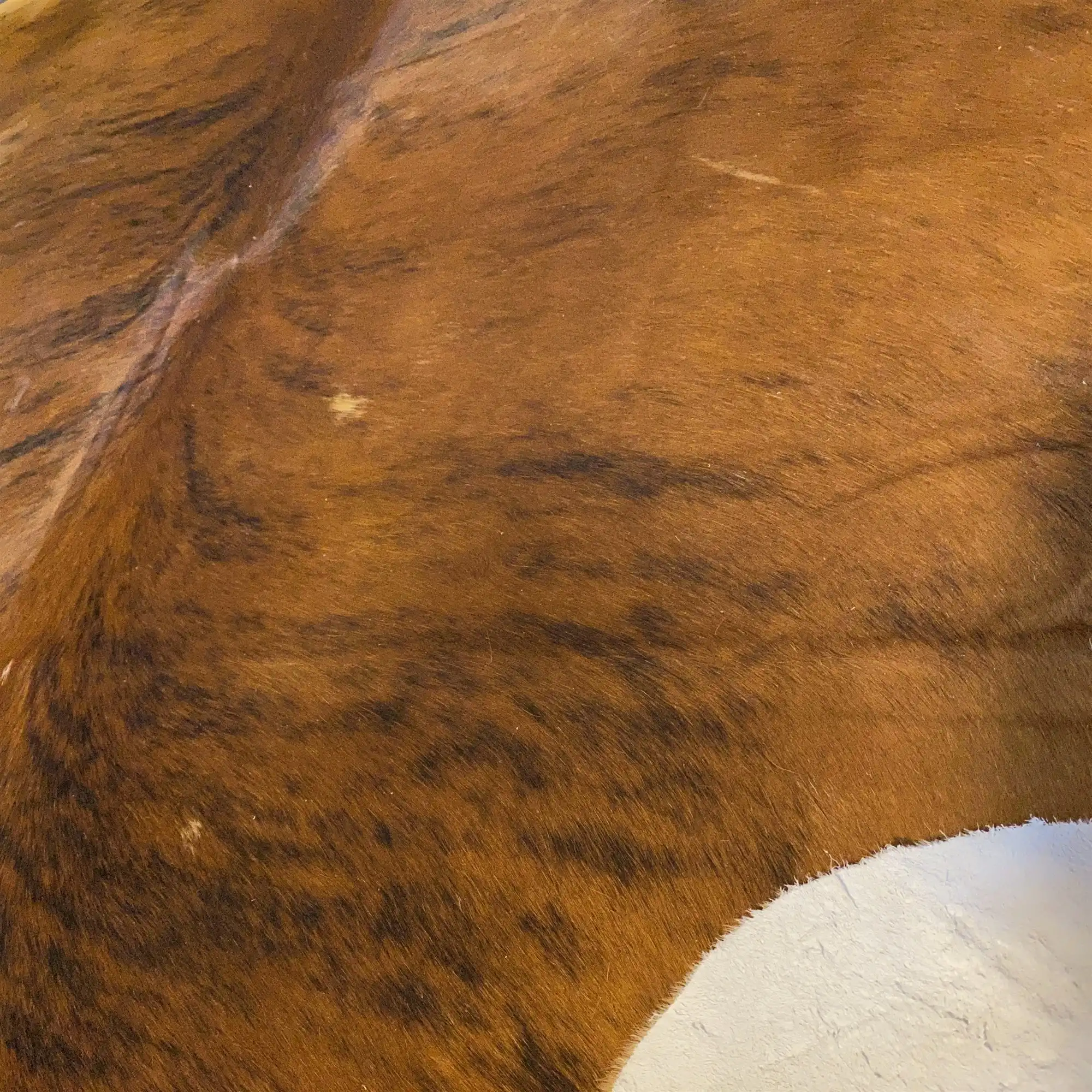 HAKİKİ DERİ DANA POSTU EGZOTİK 220 x 225 - 0401000164