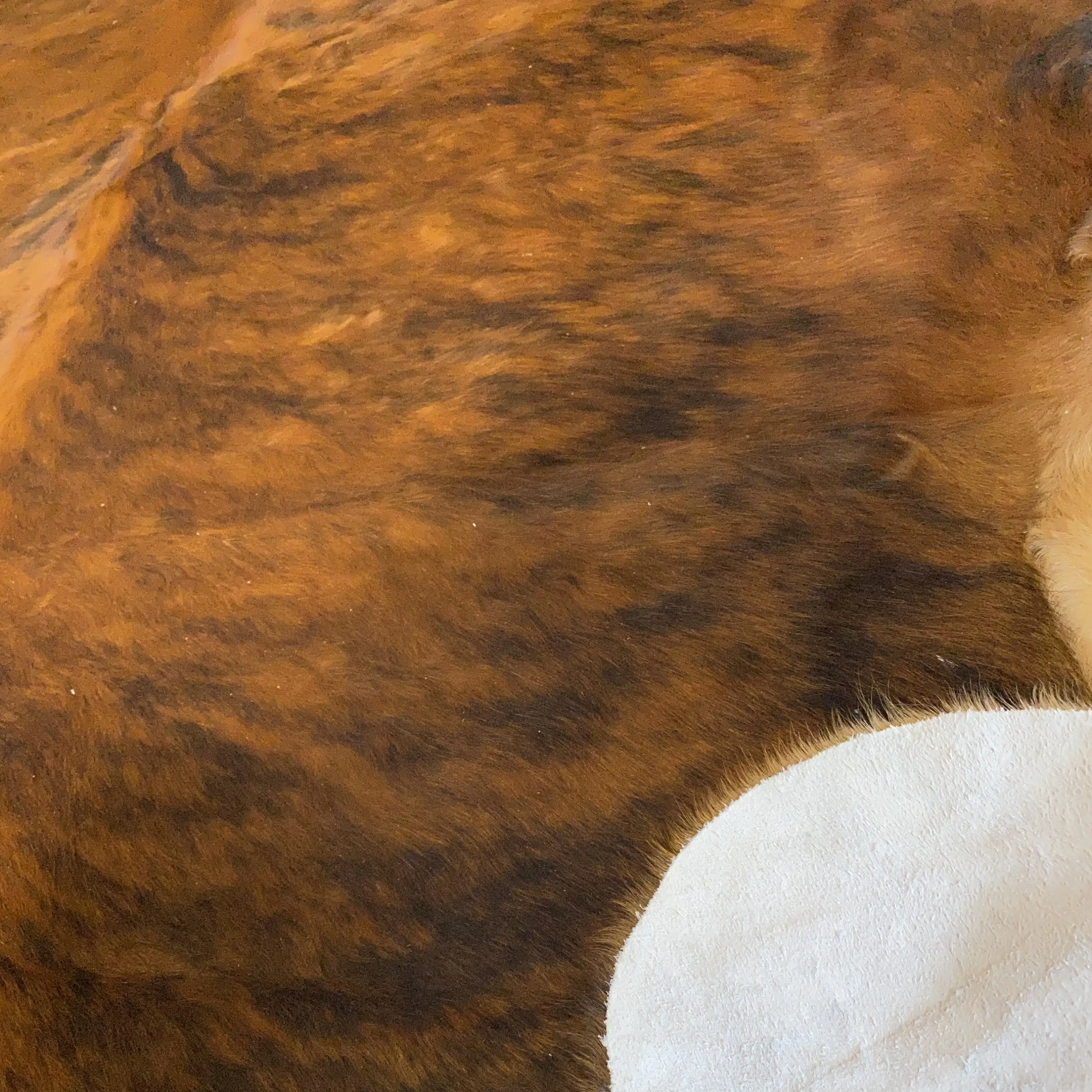 HAKİKİ DERİ DANA POSTU EGZOTİK 225 x 235 - 0401000043