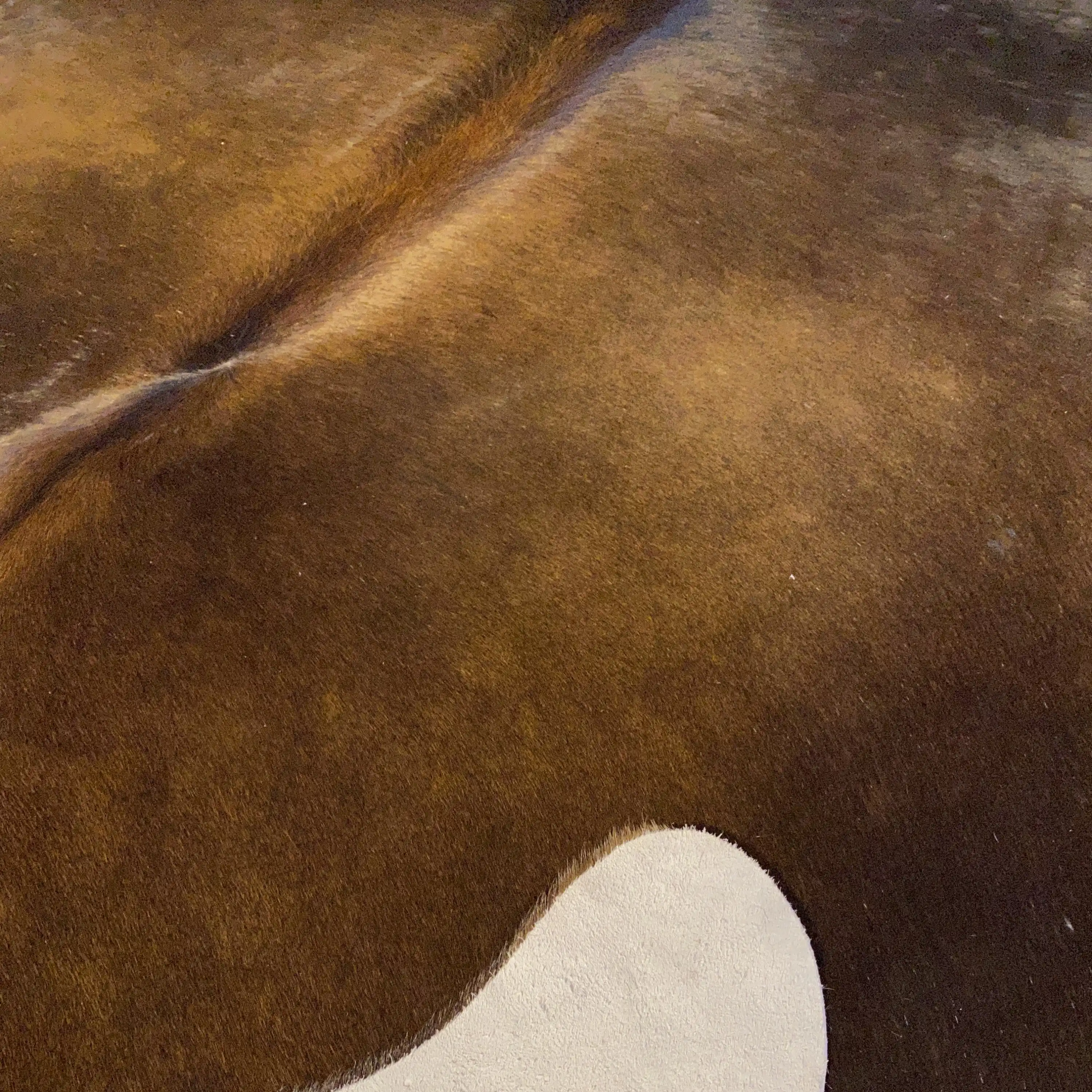 HAKİKİ DERİ DANA POSTU KAHVE 165 x 190 - 0201000150